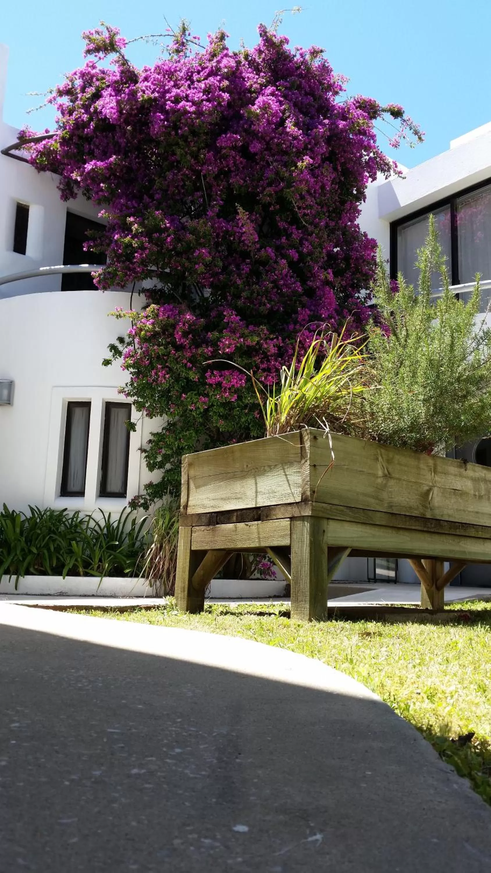 Property building in Posada de los Pajaros