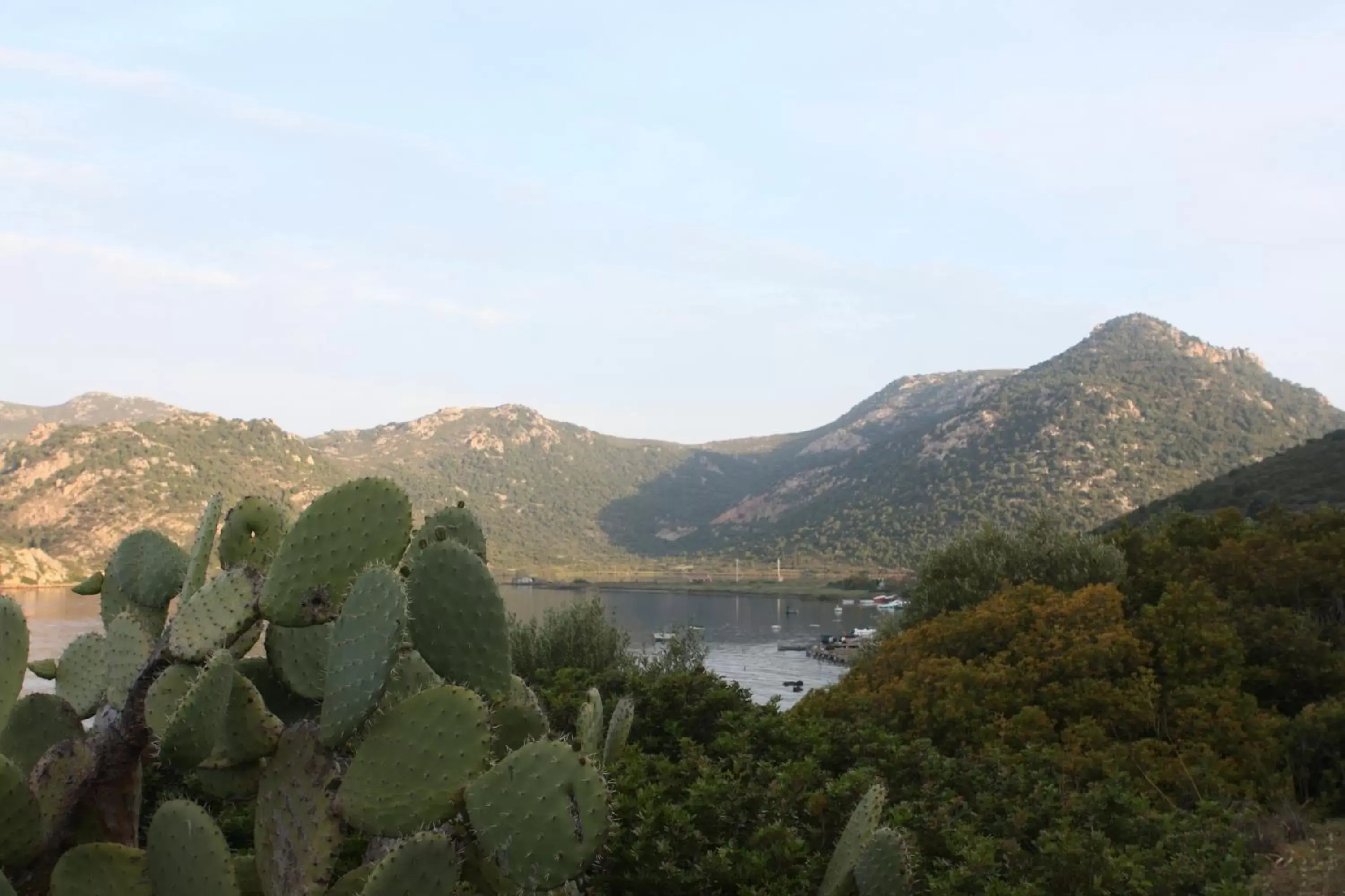 Area and facilities, Mountain View in Hotel Jasmine