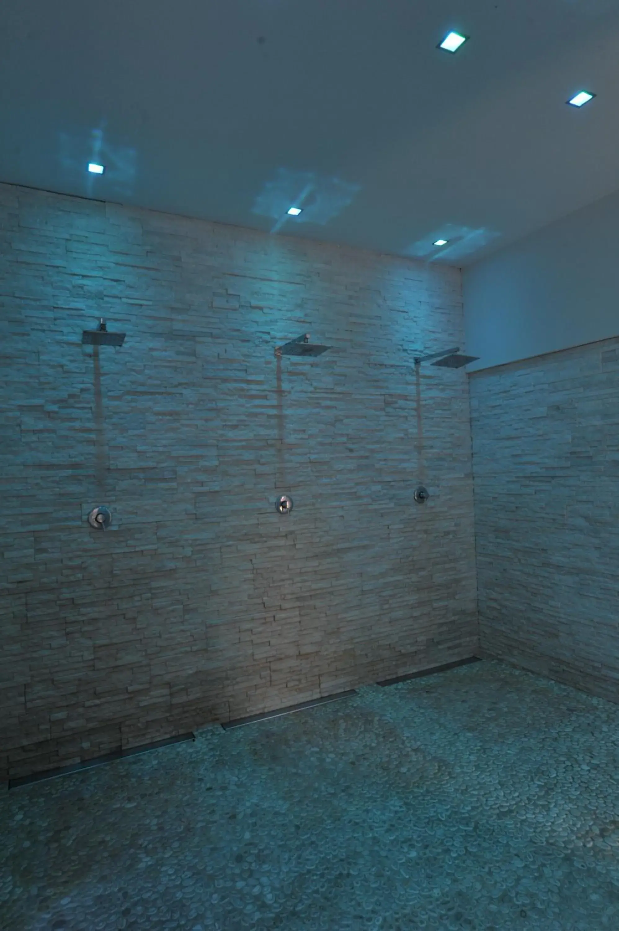 Steam room, Spa/Wellness in Hotel Salus Terme