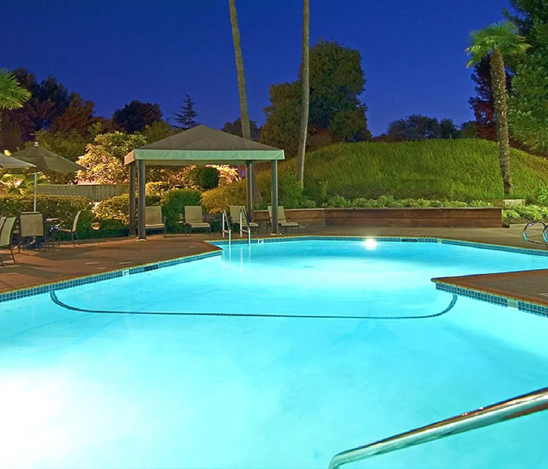 Pool view in Hilton Concord Pool view in Hilton Concord