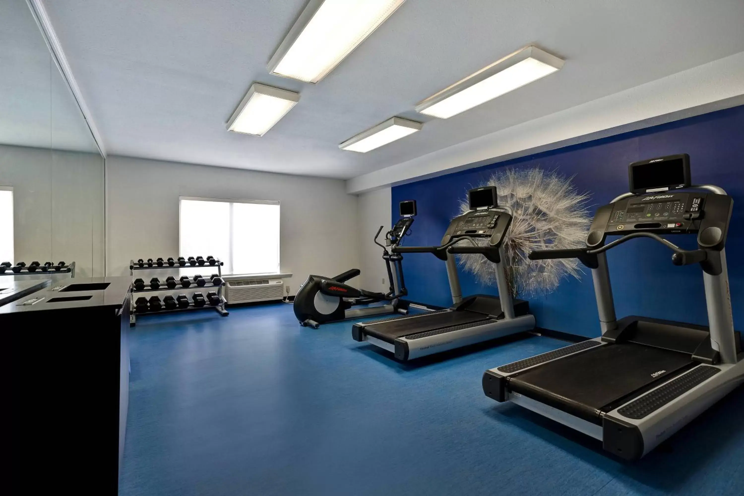 Fitness centre/facilities, Fitness Center/Facilities in SpringHill Suites by Marriott Las Cruces