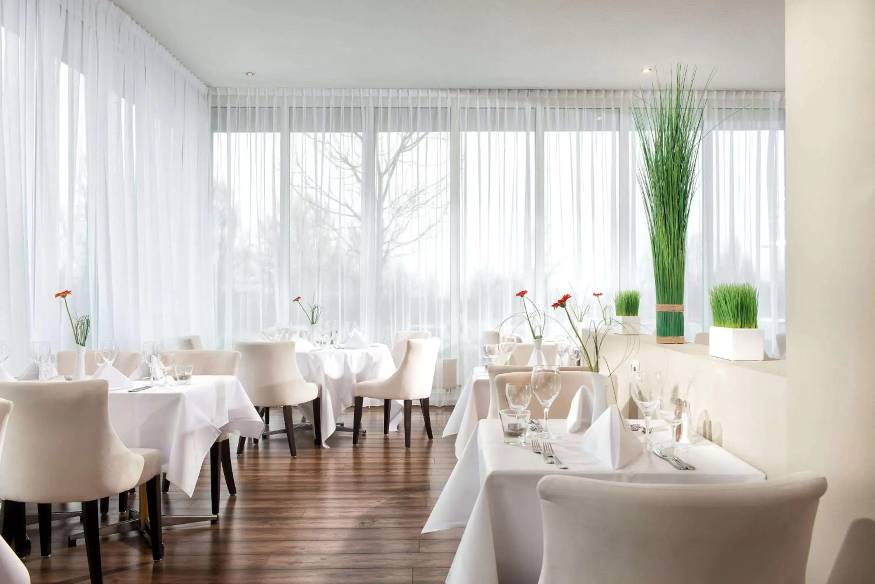 Restaurant/Places to Eat in Wyndham Garden Wismar