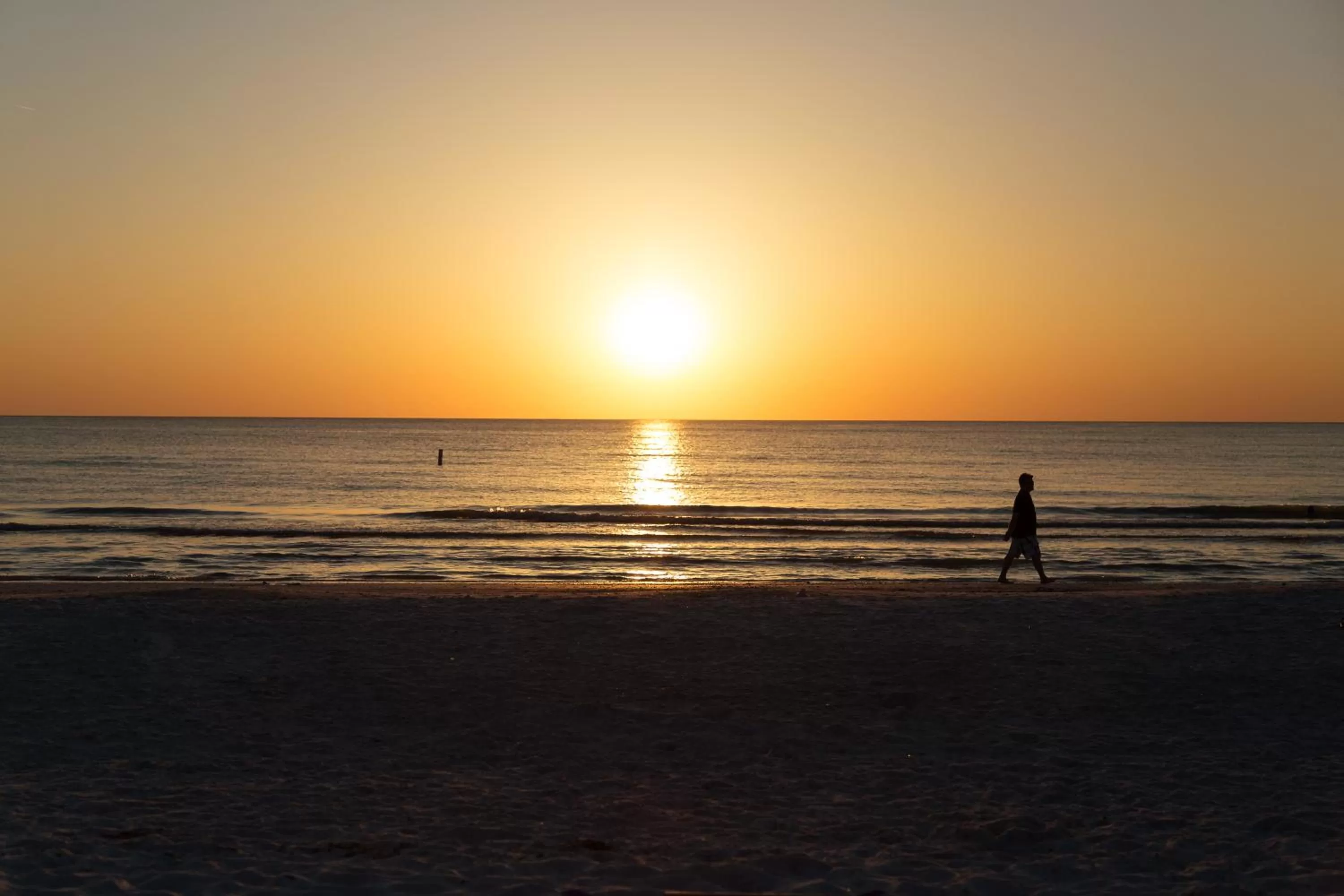 Beach in The Avalon Club