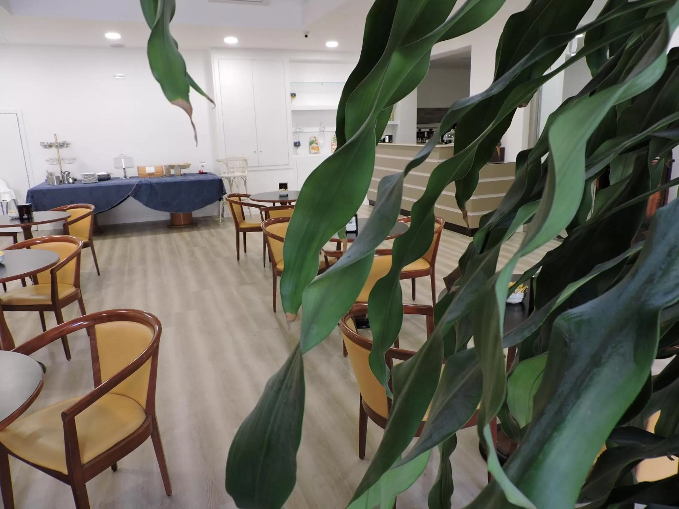 Communal lounge/ TV room in Hotel Elite Palermo Centro