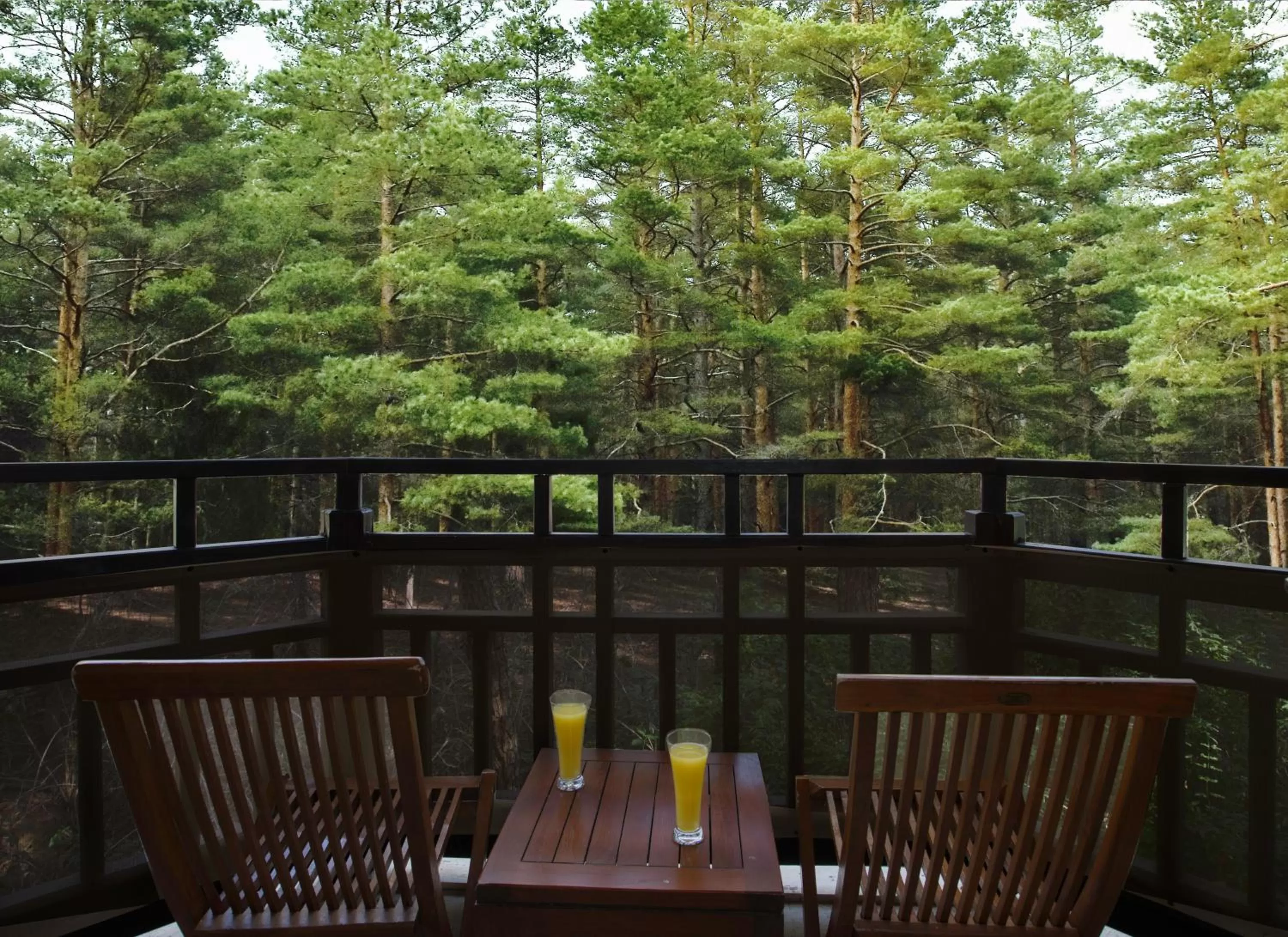 View (from property/room) in Asteria Family Resort Belek