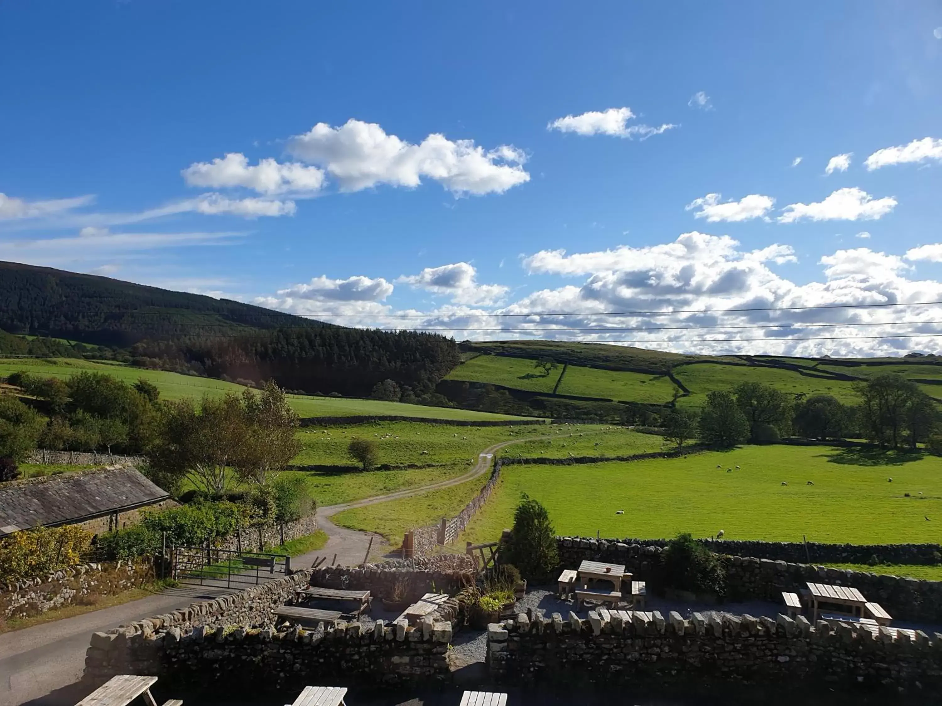 View (from property/room) in The New Inn