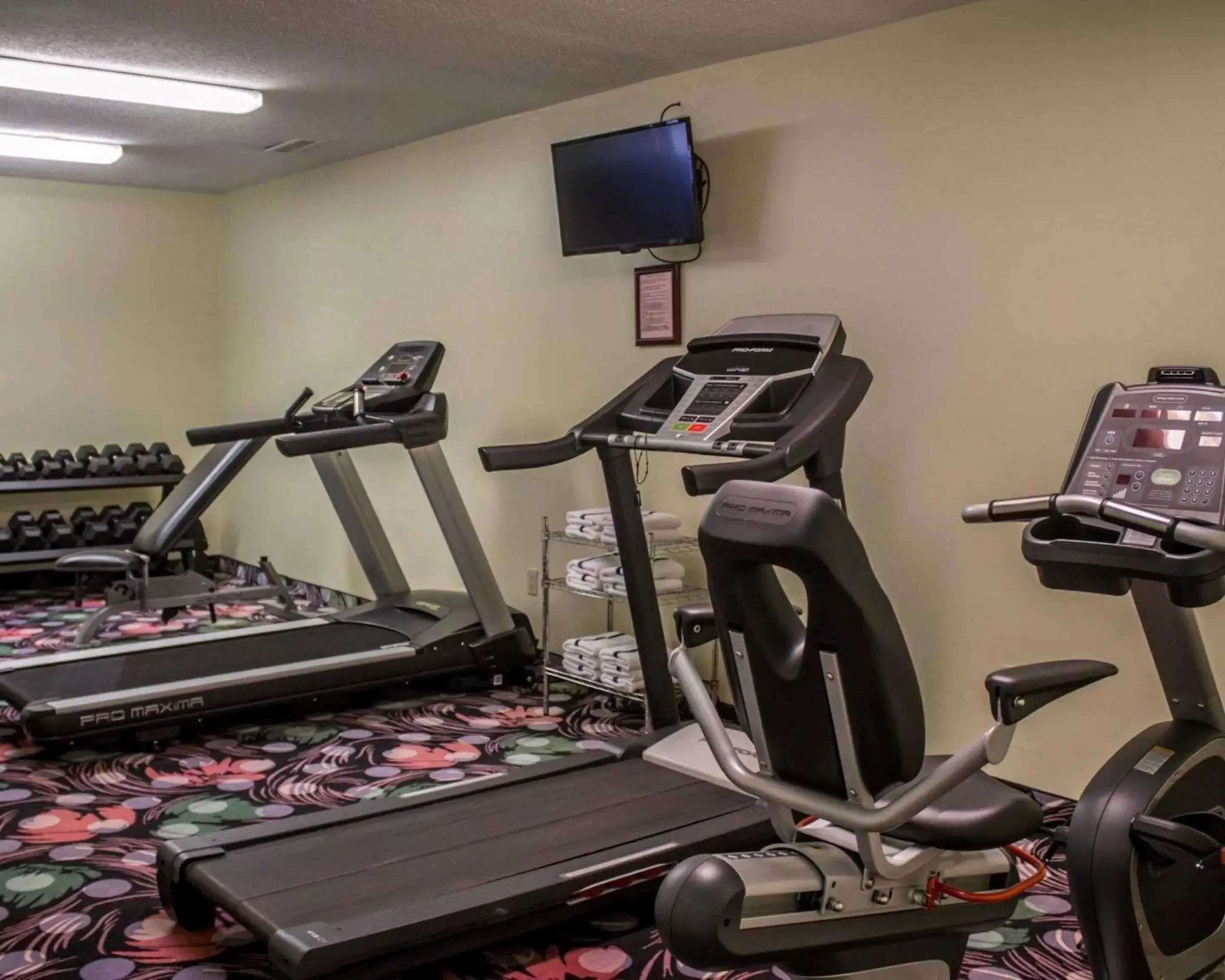 Fitness centre/facilities, Fitness Center/Facilities in Sleep Inn Sandusky