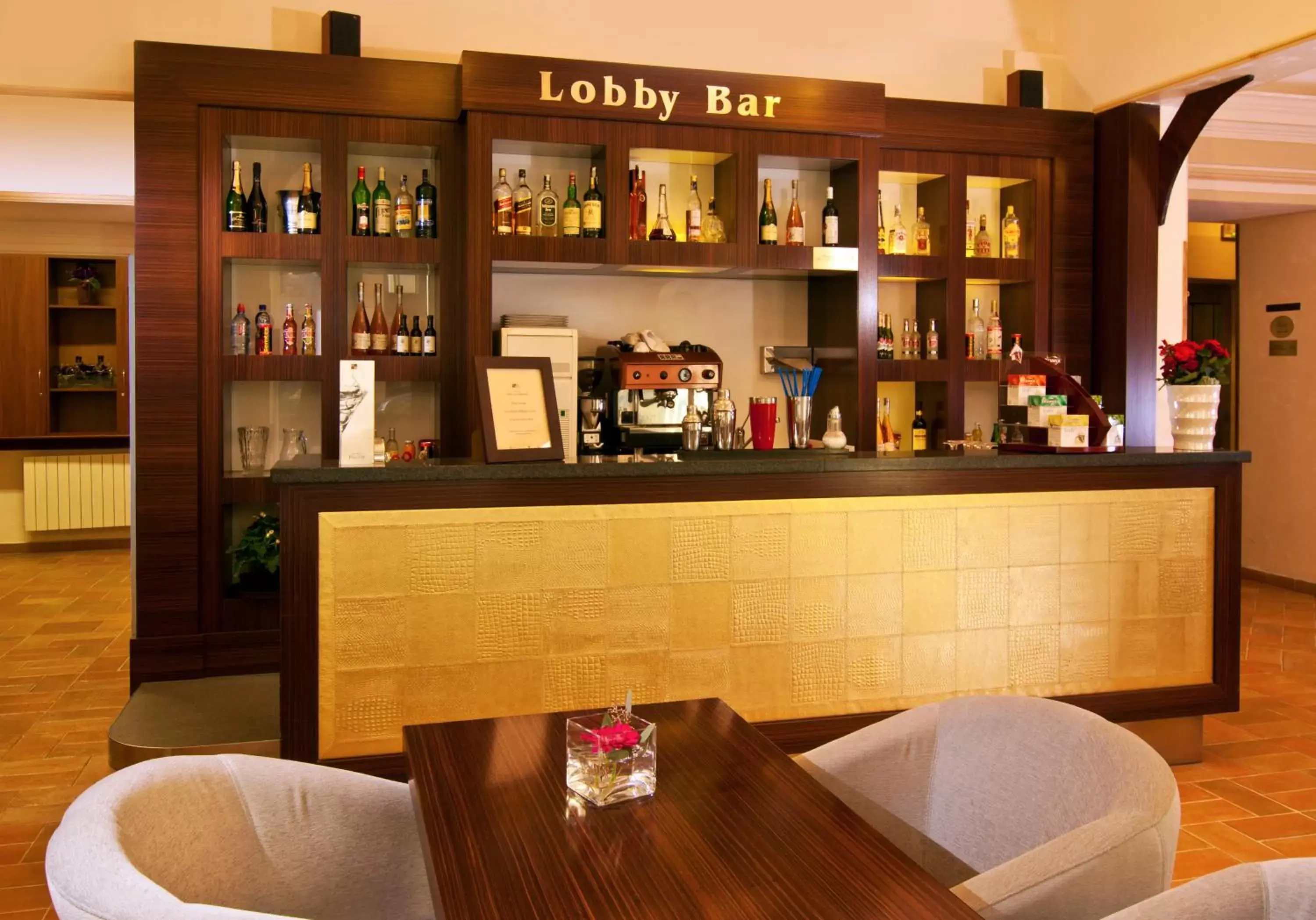 Lobby or reception, Lounge/Bar in Hotel Praga 1