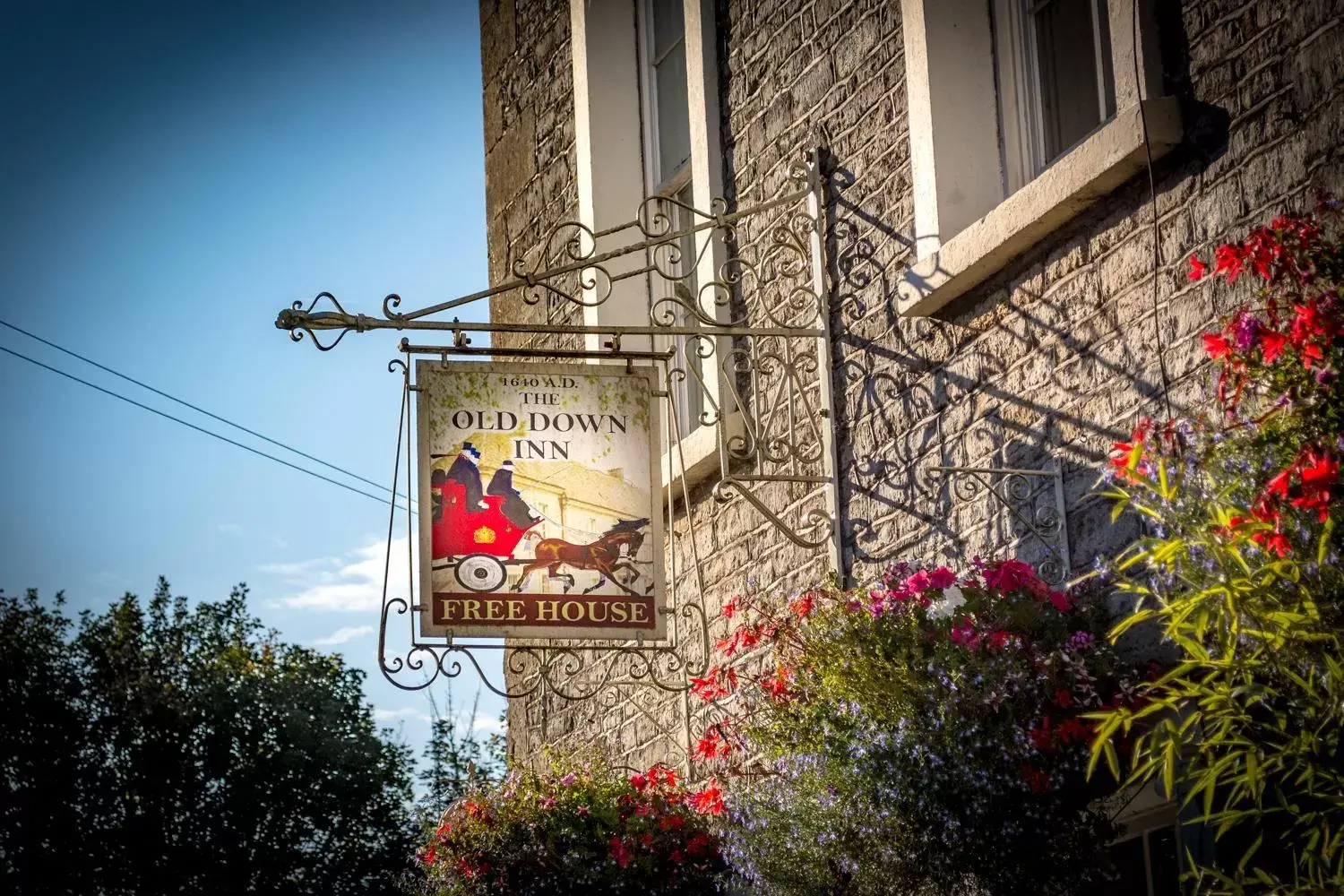 Property Logo/Sign in The Old Down Inn