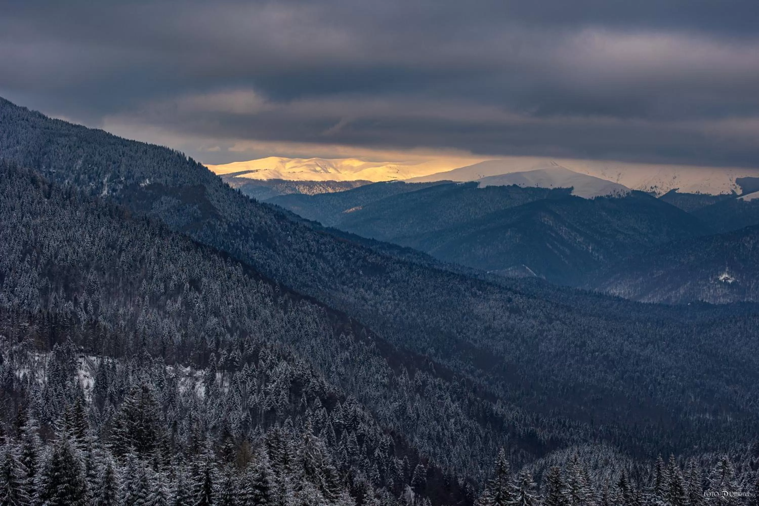 Property building, Natural Landscape in Hotel Belmont