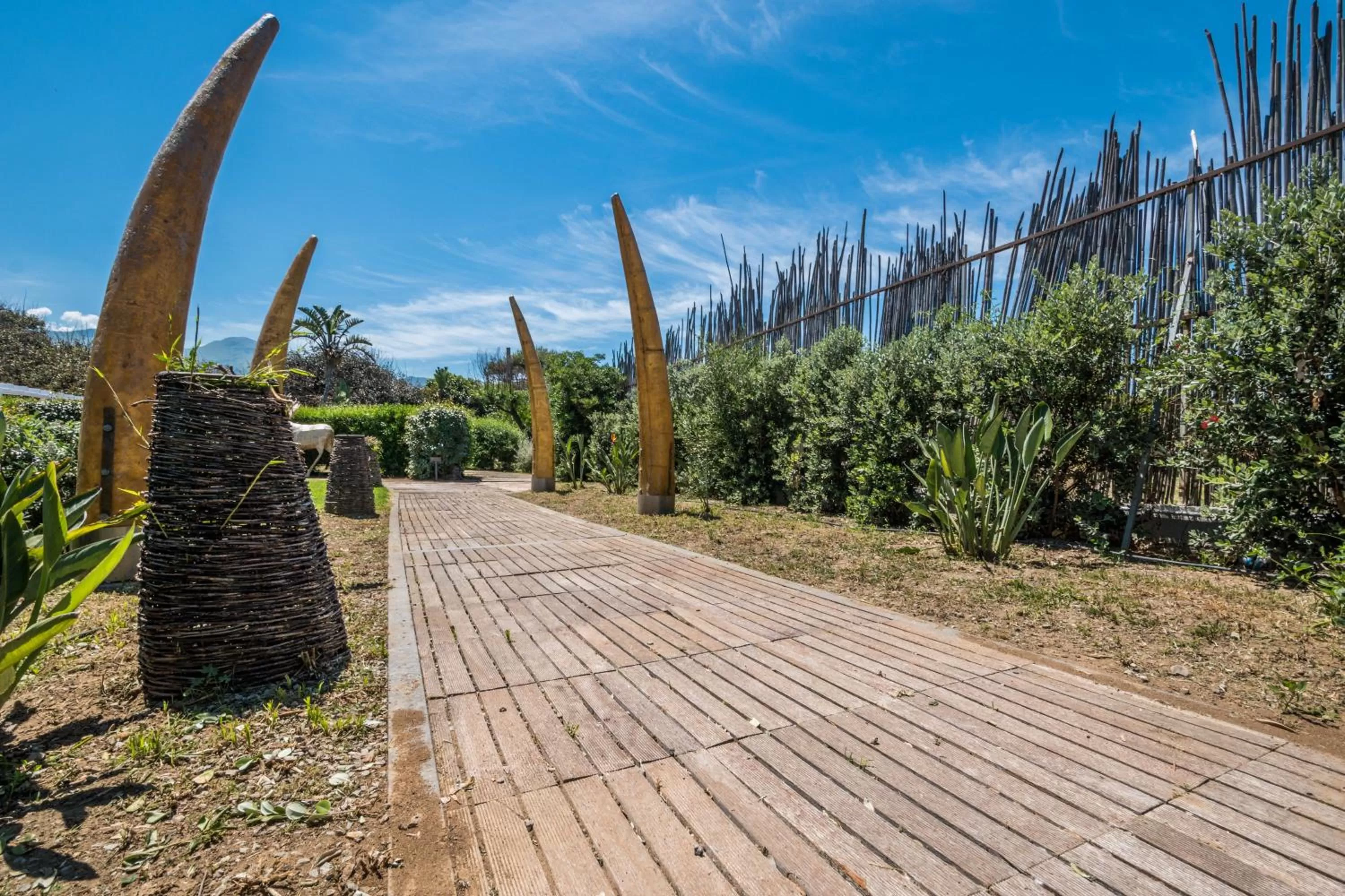 Natural landscape in B&B Le Dune - Self Check in