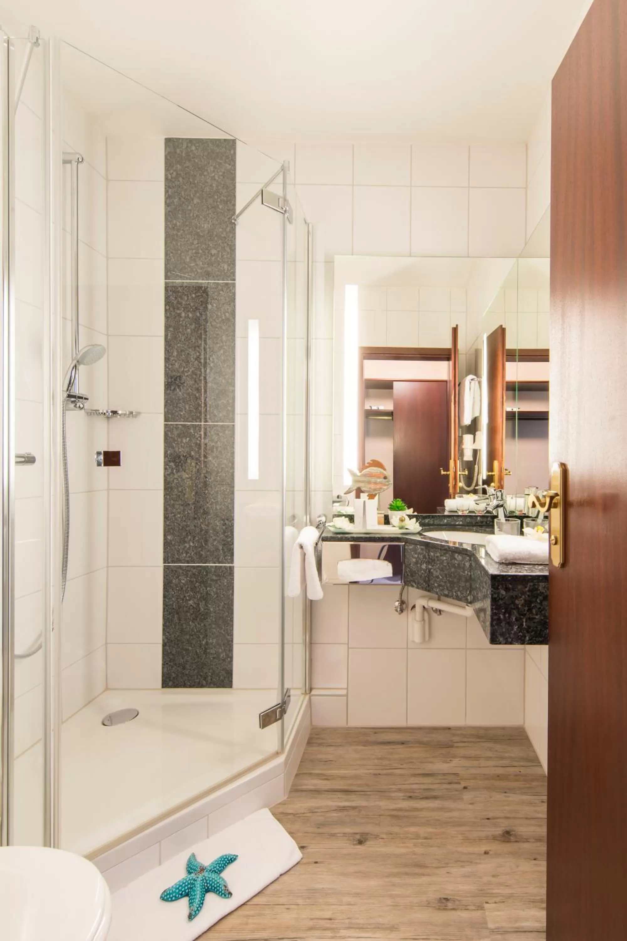 Shower in Hotel Touric