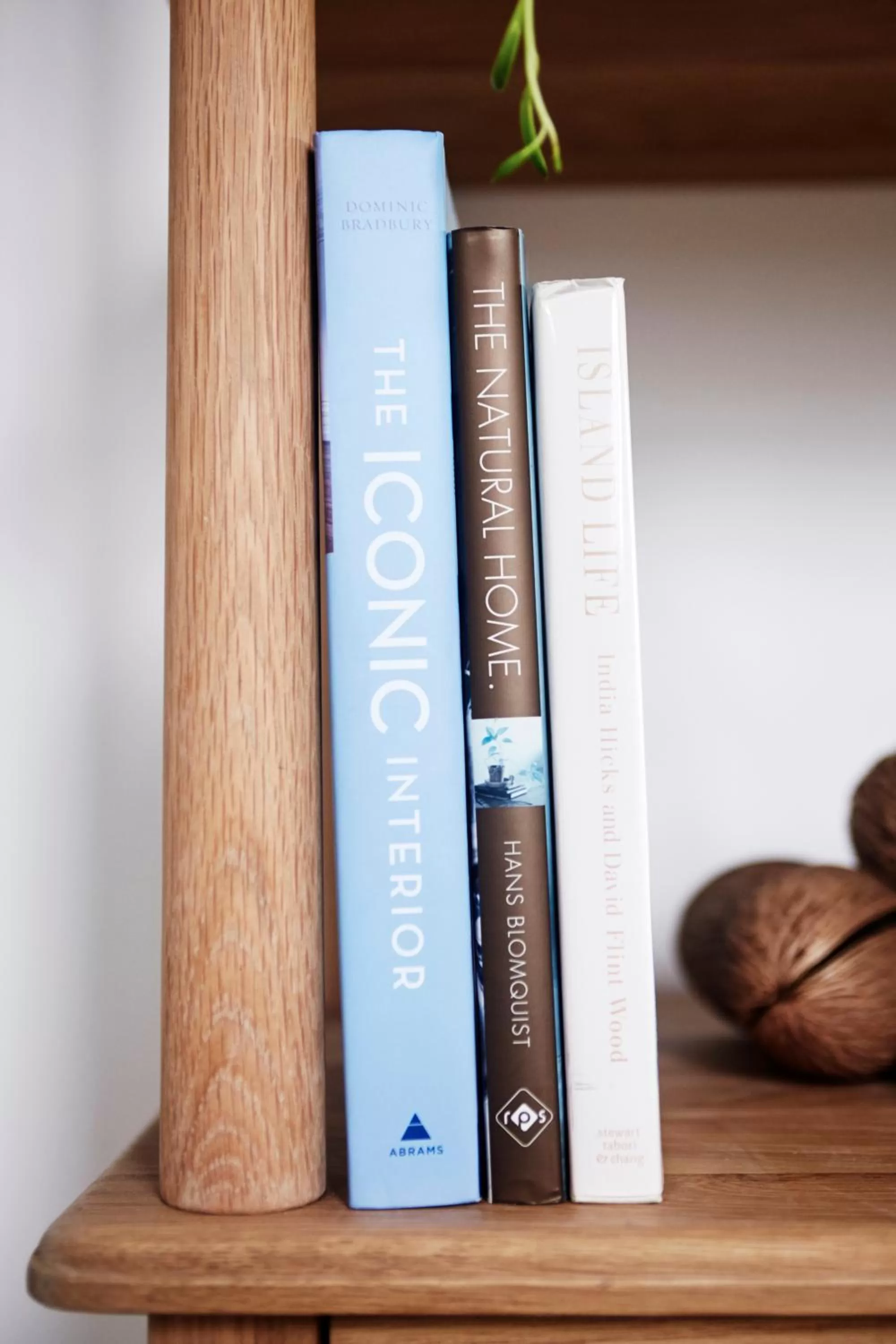 Time of day in Stunning Flourish ON Bull