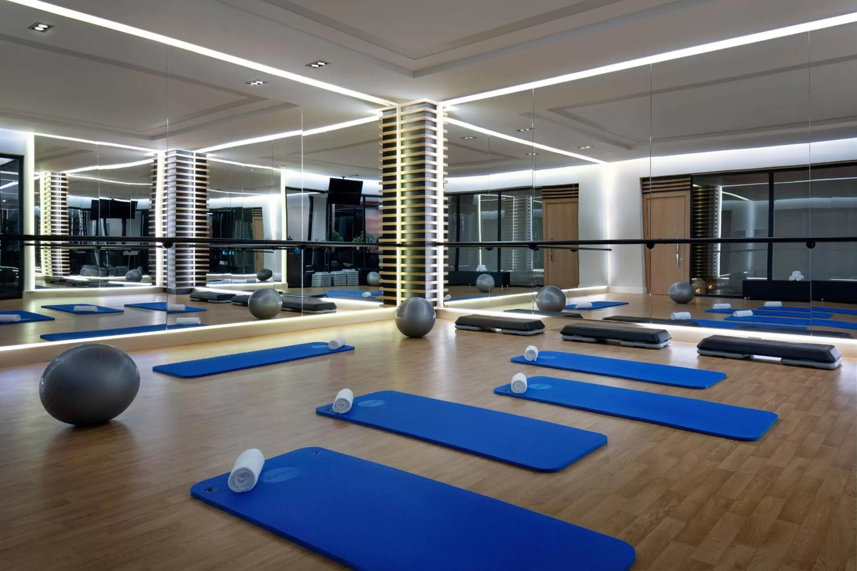 Fitness centre/facilities, Fitness Center/Facilities in Sheraton Istanbul City Center