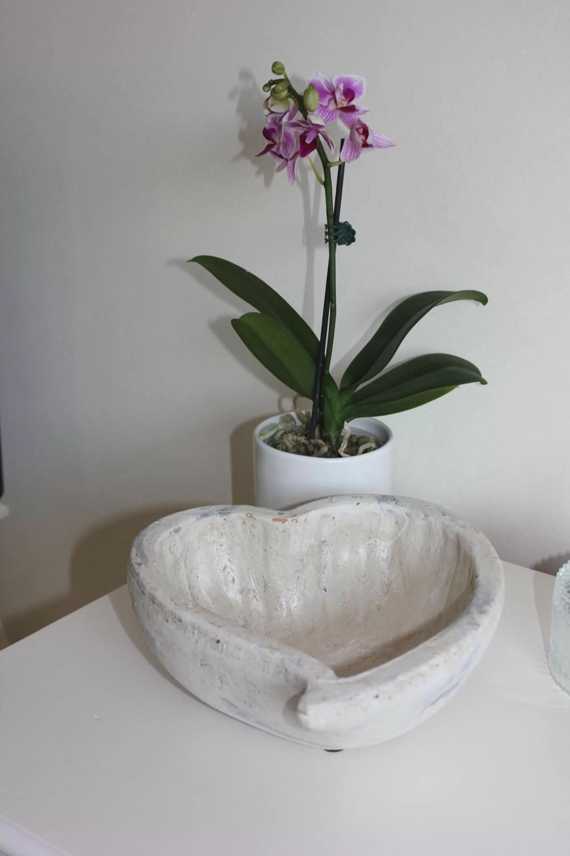 Cairnview Bed and Breakfast