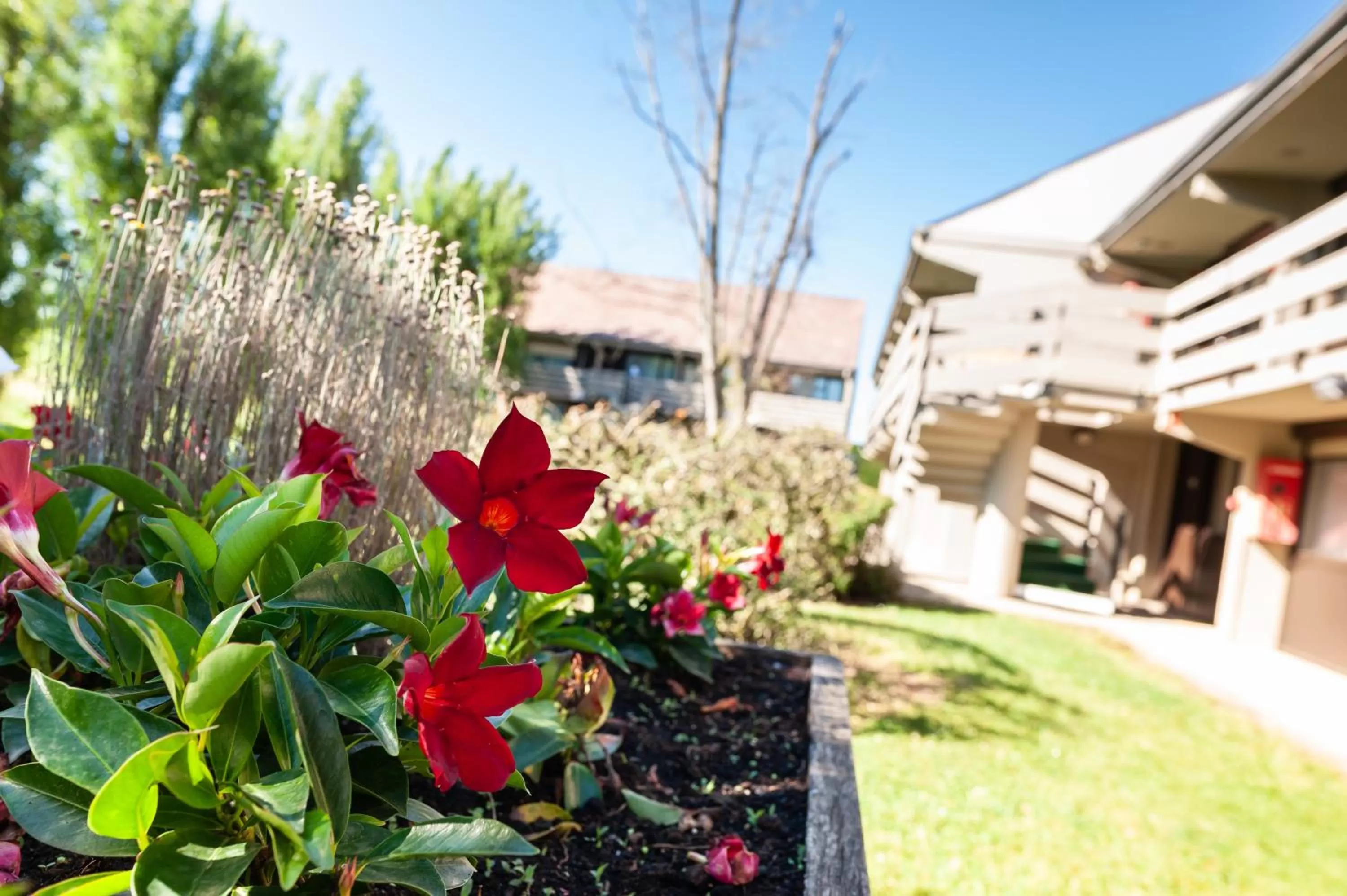 Garden in Campanile Beaune