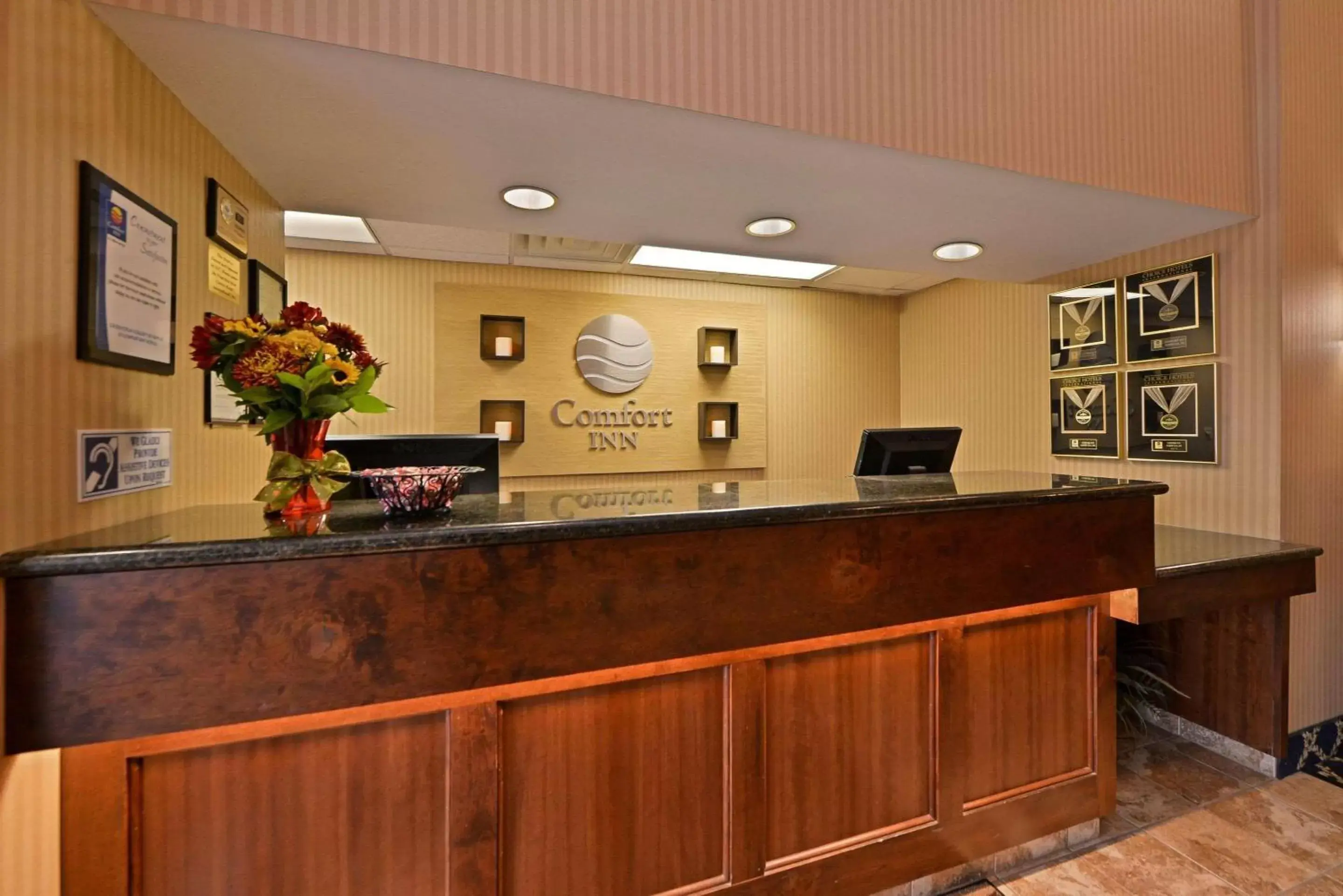 Lobby or reception, Lobby/Reception in Comfort Inn Albert Lea