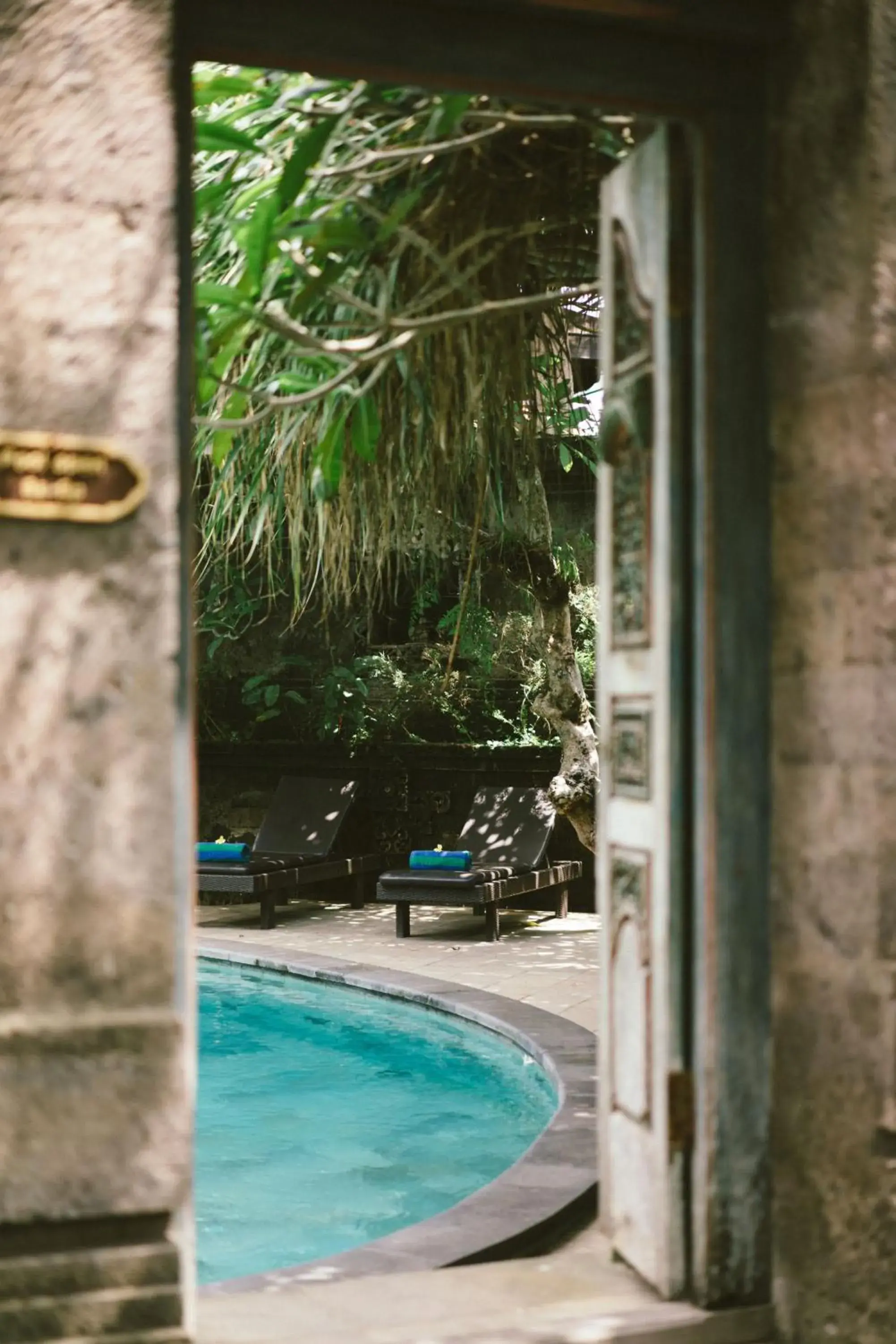 Swimming Pool in Honeymoon Guesthouse