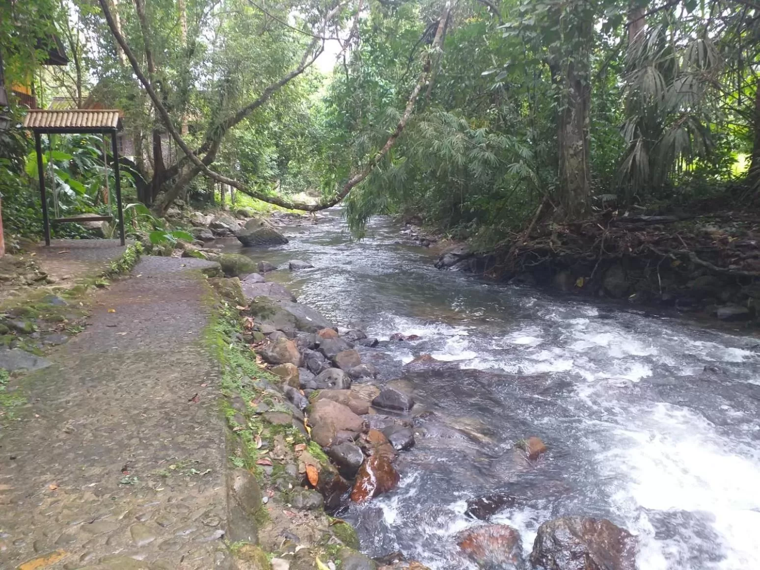 Tree Tops River Huts