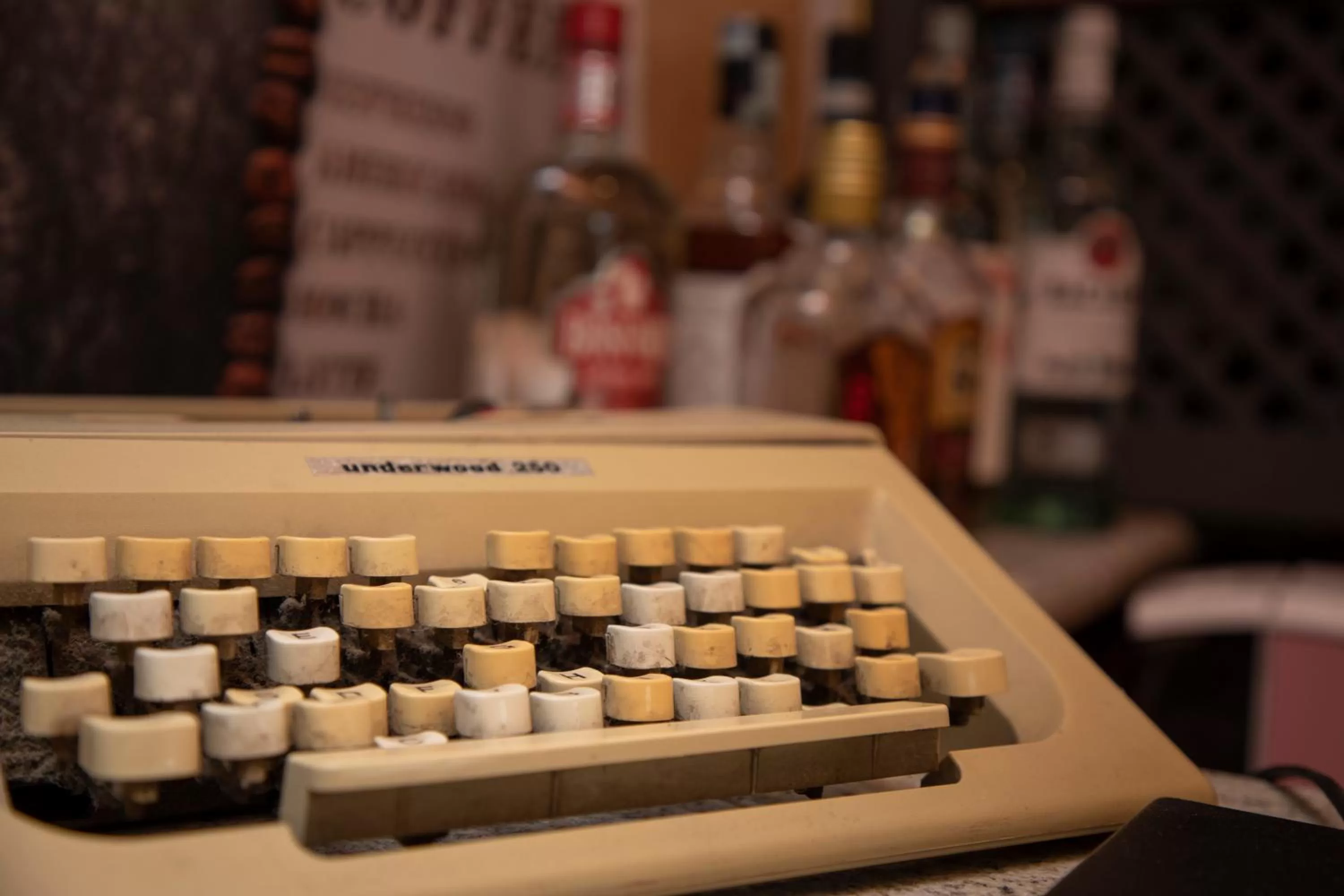 Activities in Ideal City Walk