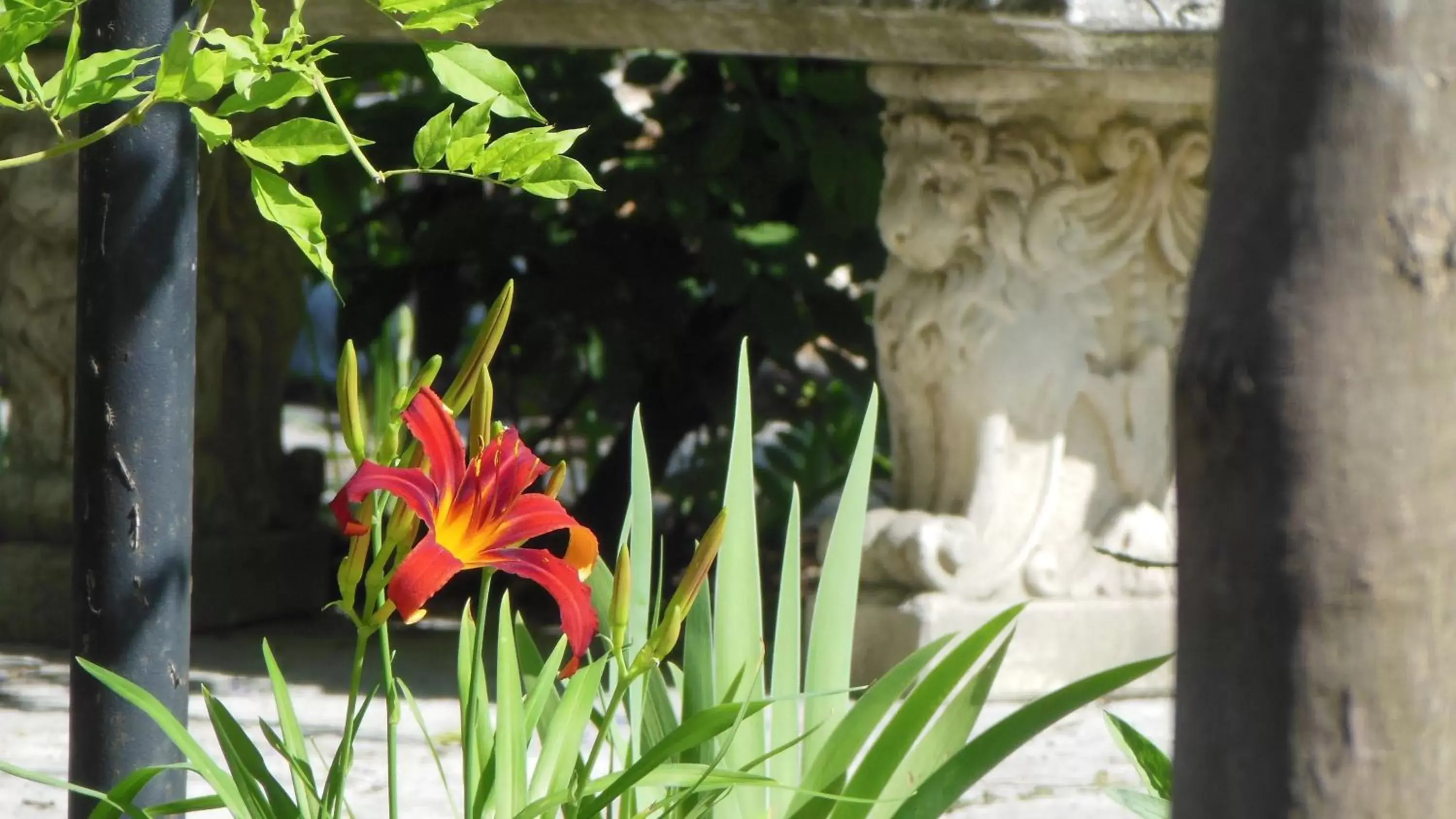 Garden in Hotel Sant'Antonin