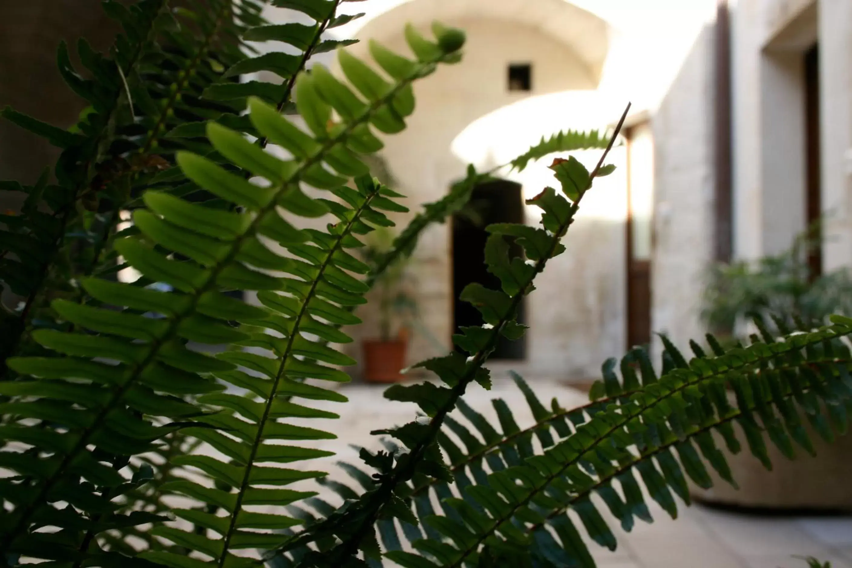 Patio in Dimora Storica ''Casa Sicuro''