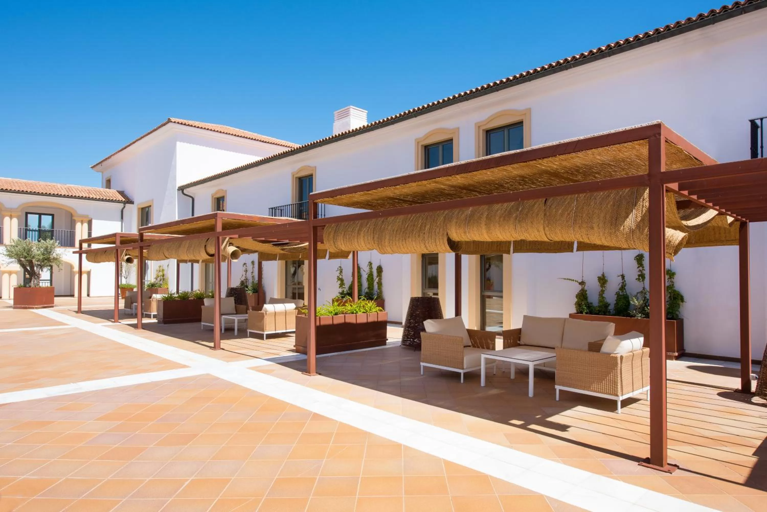 Activities in Iberostar Selection Andalucia Playa