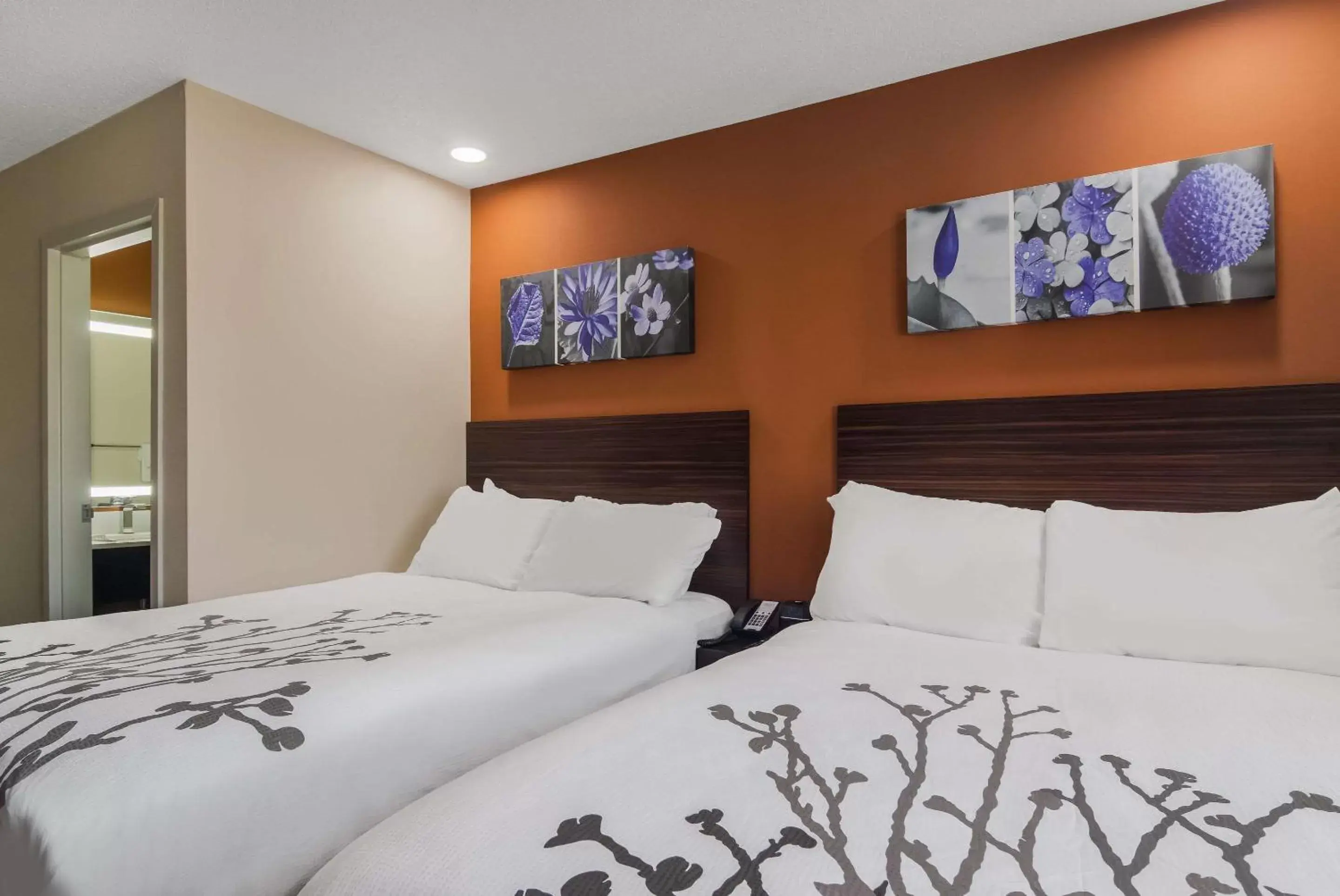 Bedroom, Bed in Sleep Inn Erie by Choice