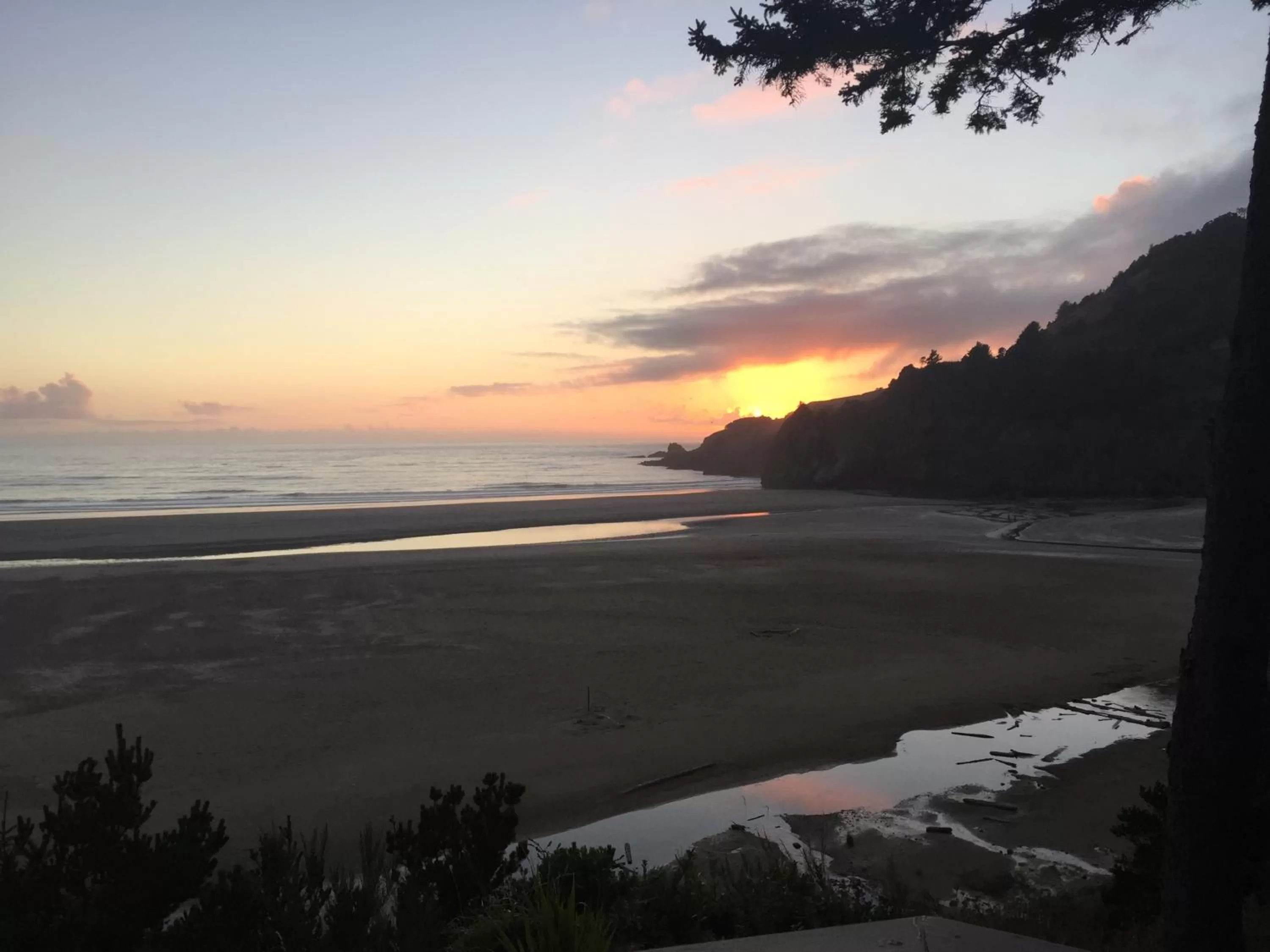 Beach in Starfish Point