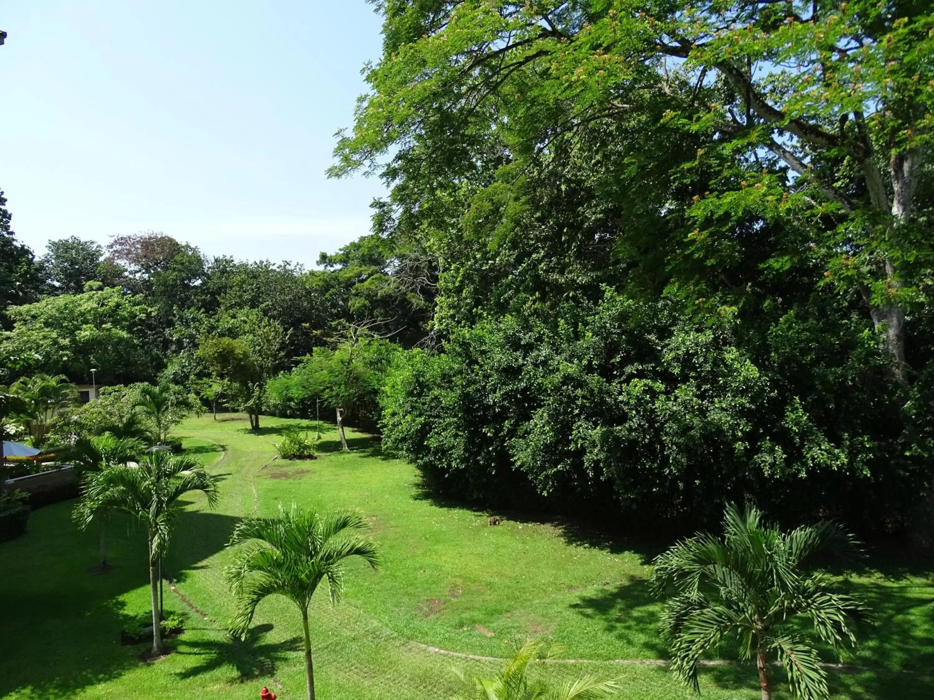 Bird's eye view, Garden in Jaco Beach Condos