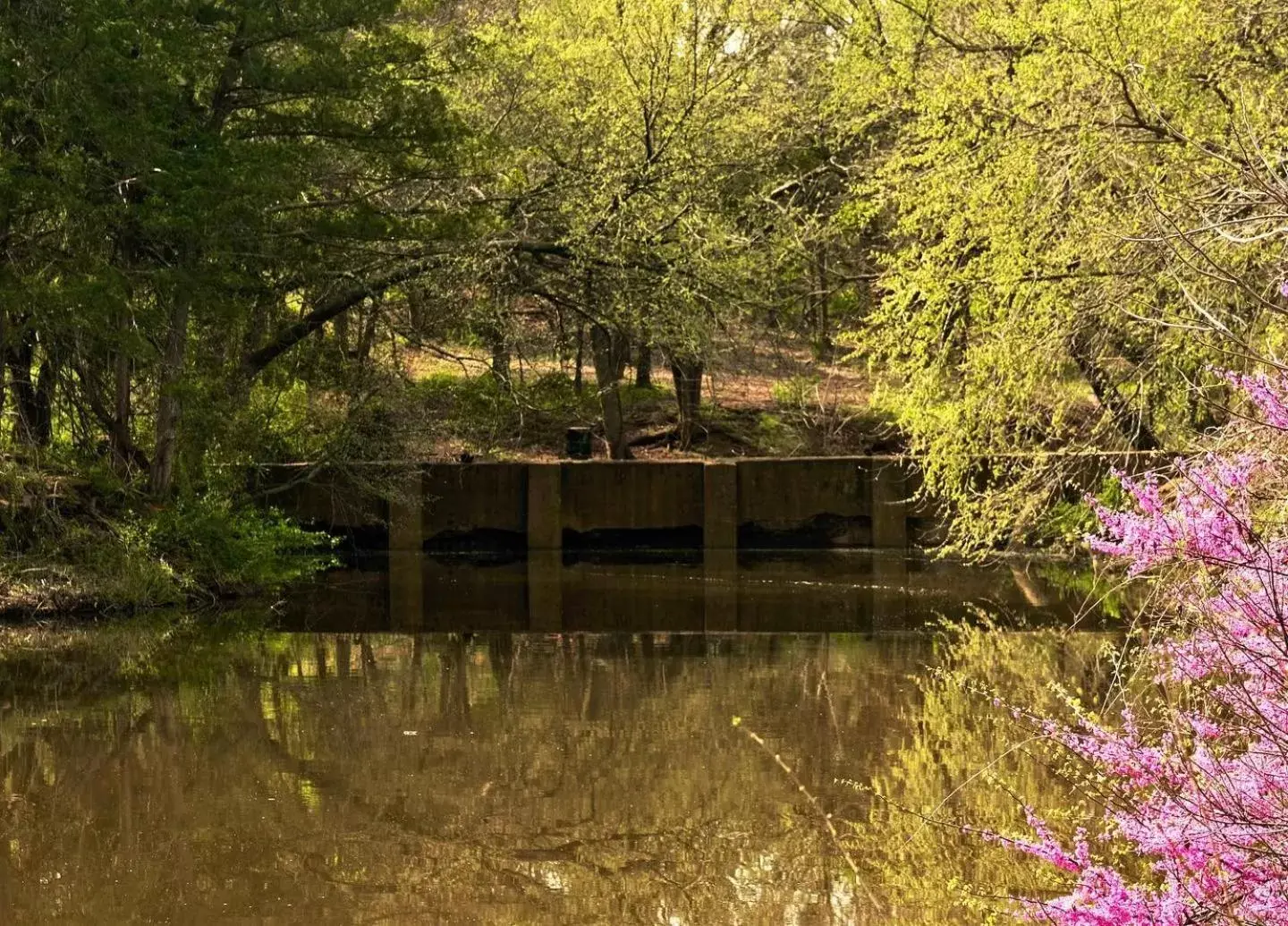 The Monastery at Forest Lake