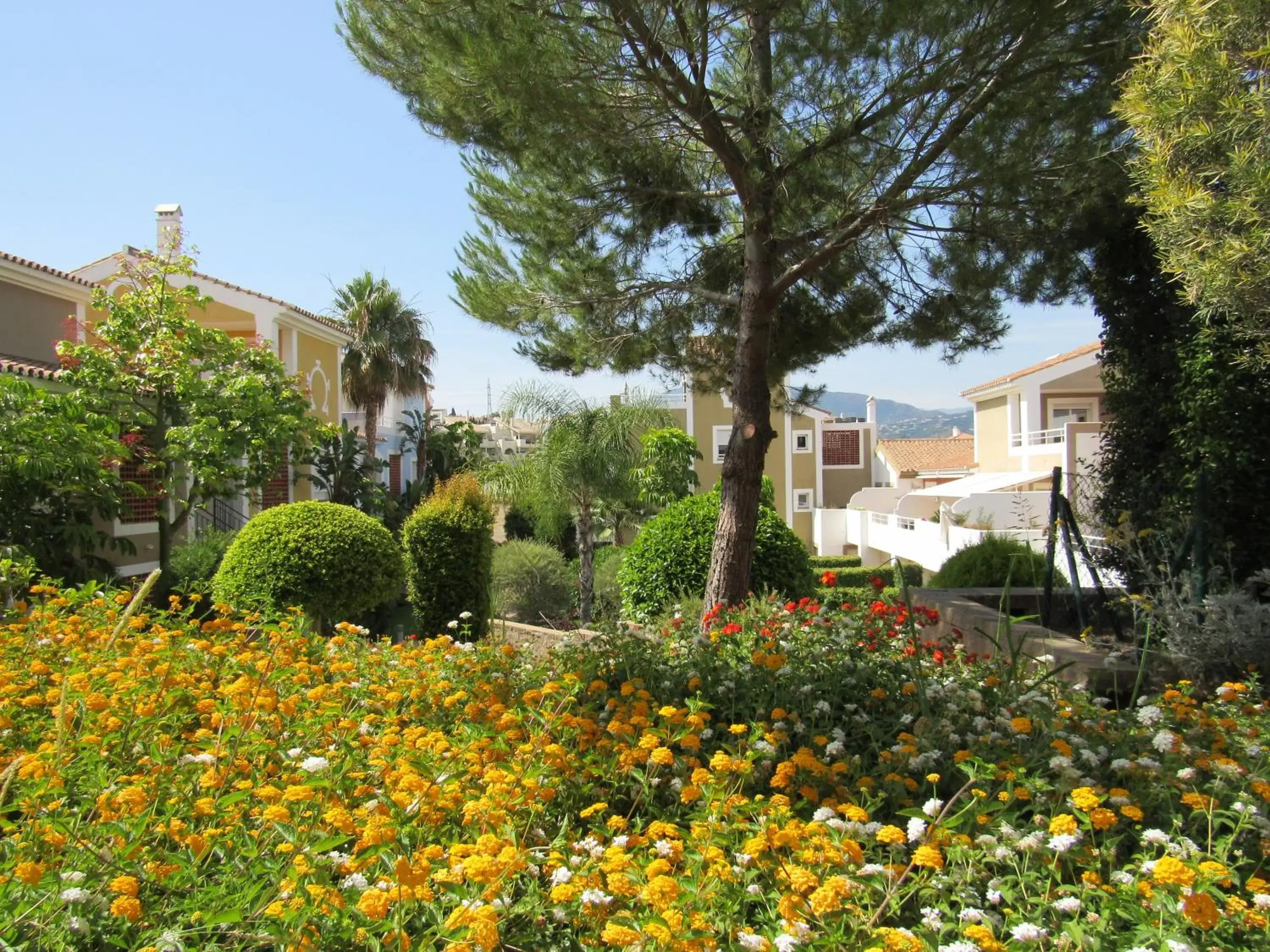 Garden view, Property Building in Cortijo Del Mar Resort