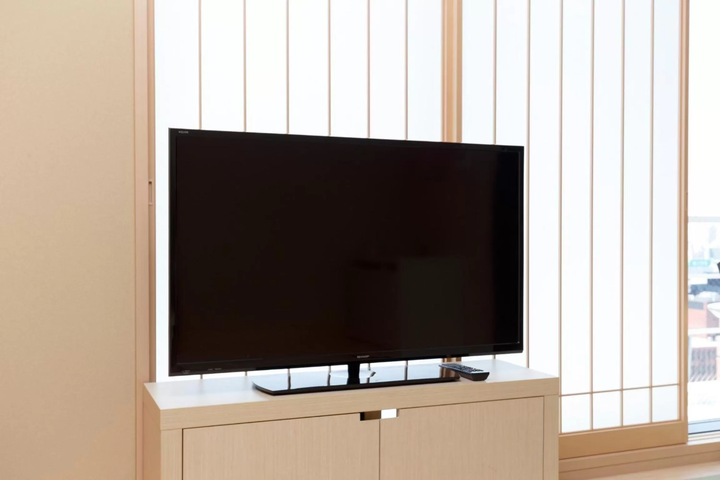 TV and multimedia in Osaka View Hotel Honmachi