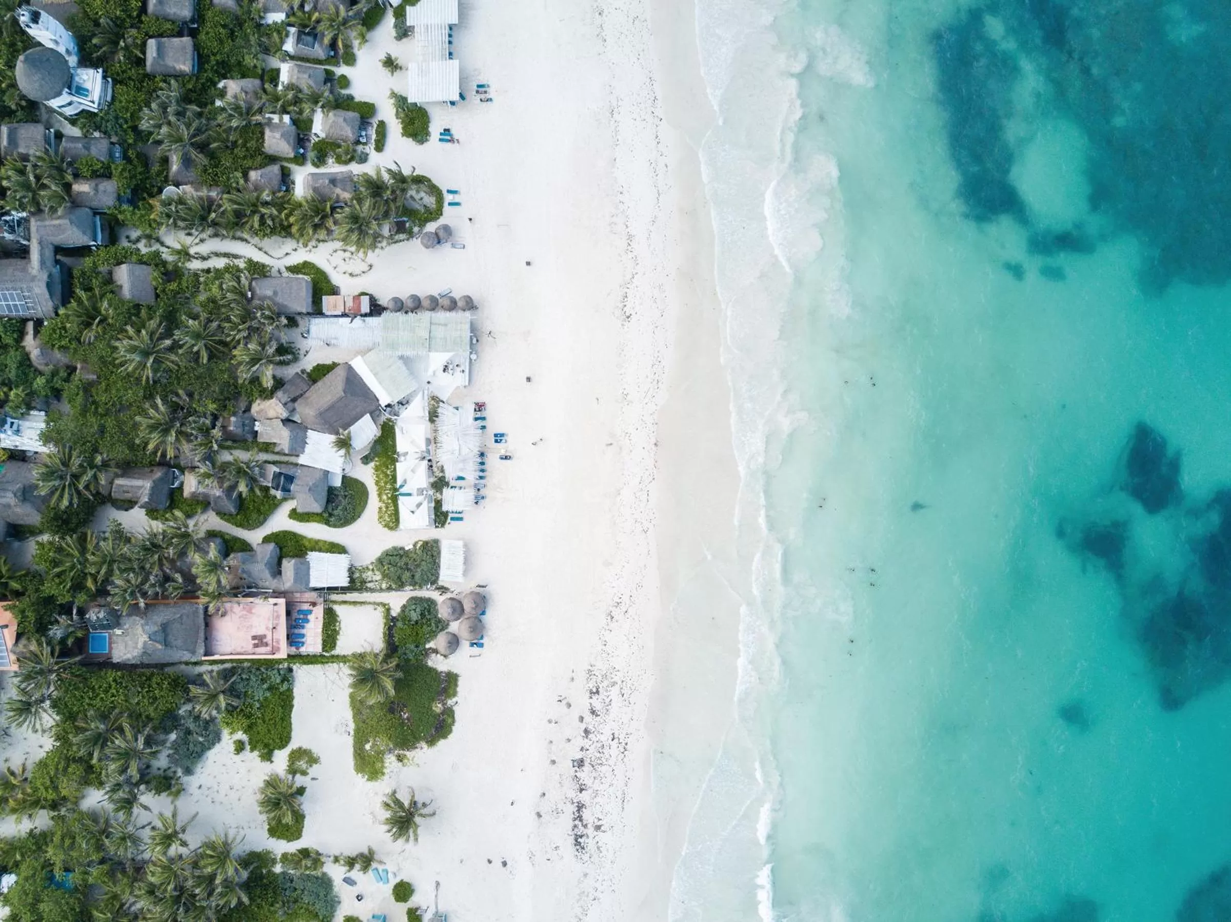 Bird's eye view, Bird's-eye View in Coco Tulum Zen Zone Hotel