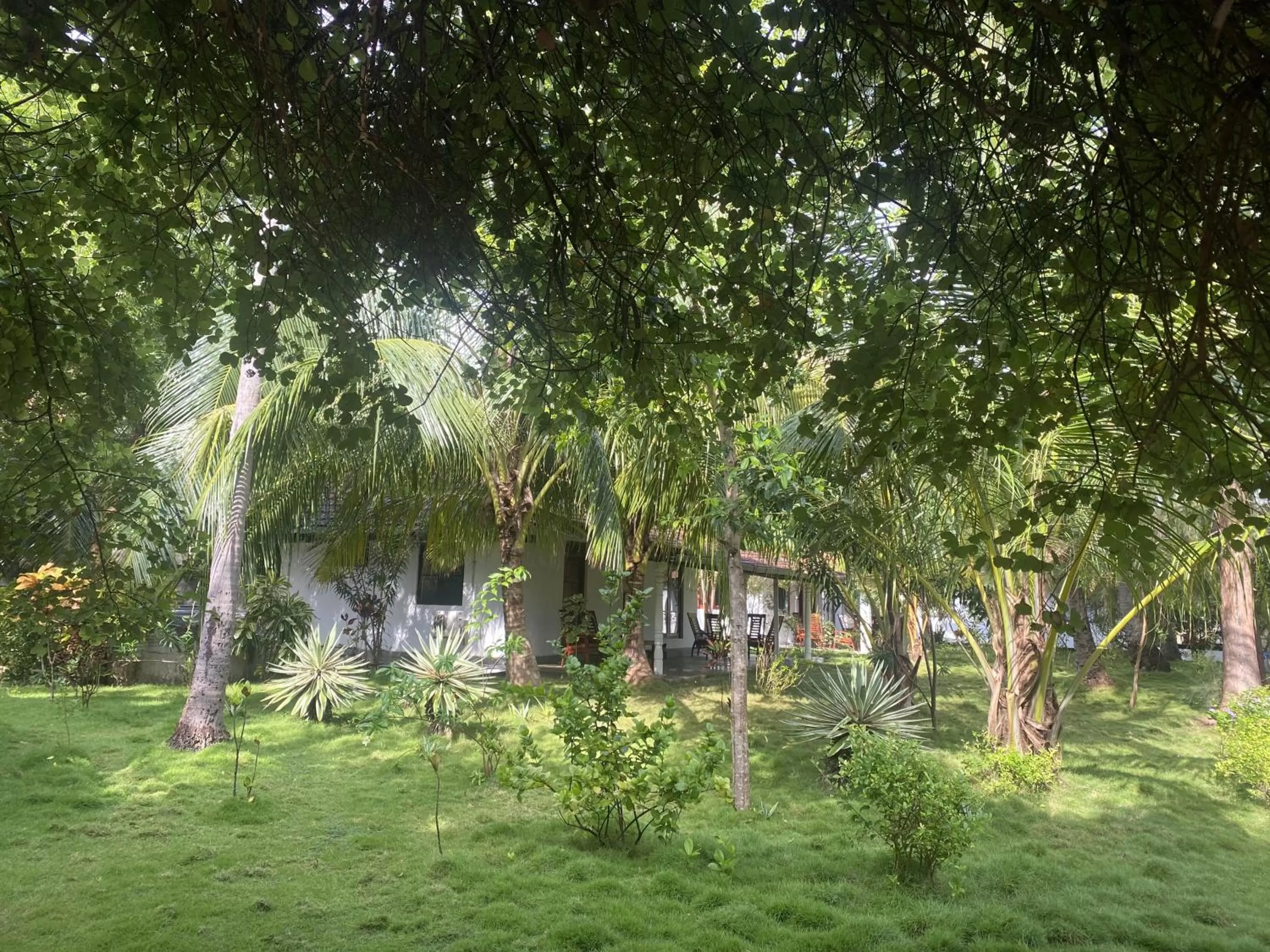 Garden in 108 Palms Beach Resort