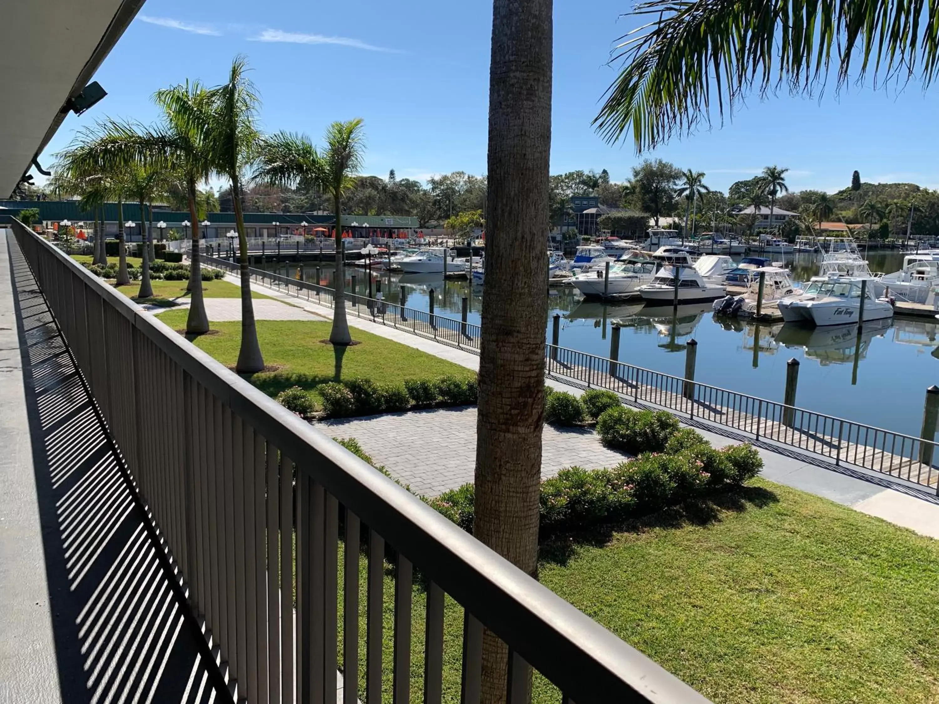 Sea view in Ramada by Wyndham Sarasota Waterfront