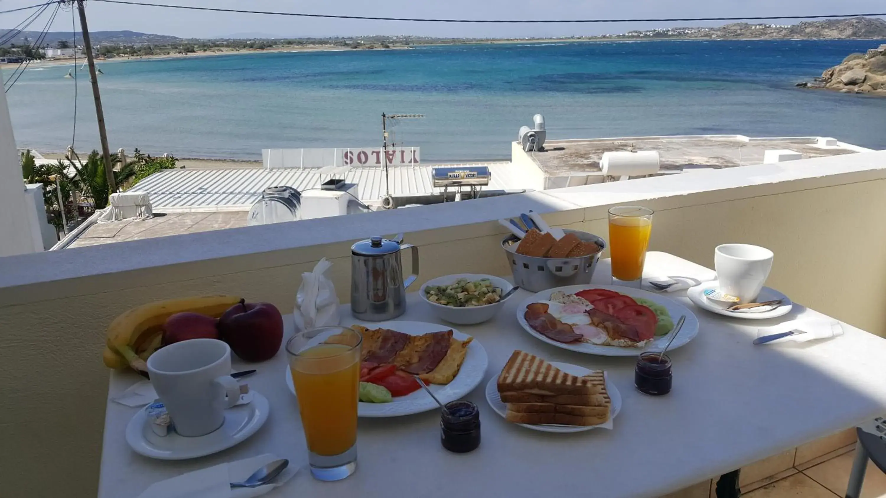 Balcony/Terrace in Hotel Palatia