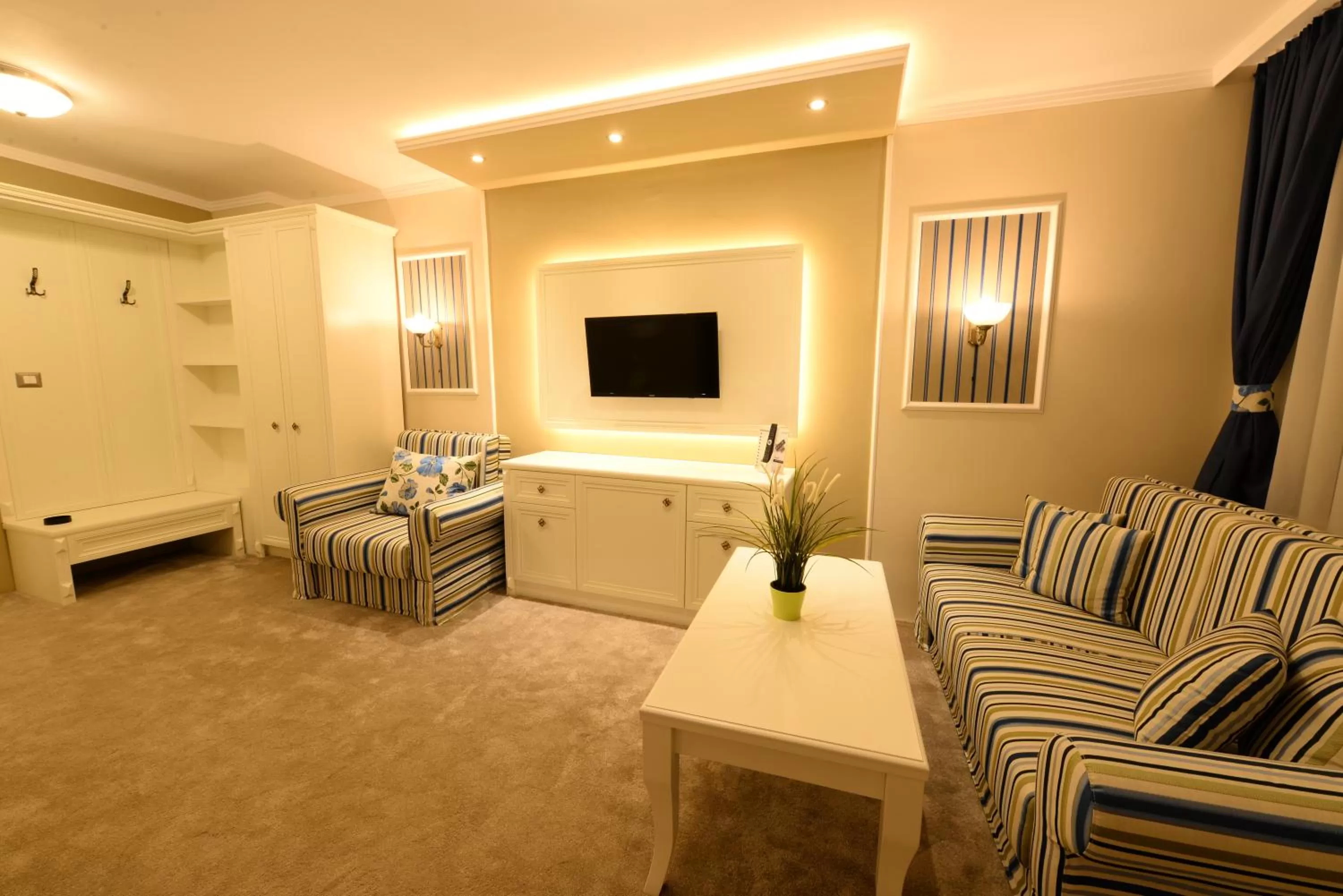 TV and multimedia in RAYA Garden - Park Hotel & Winery