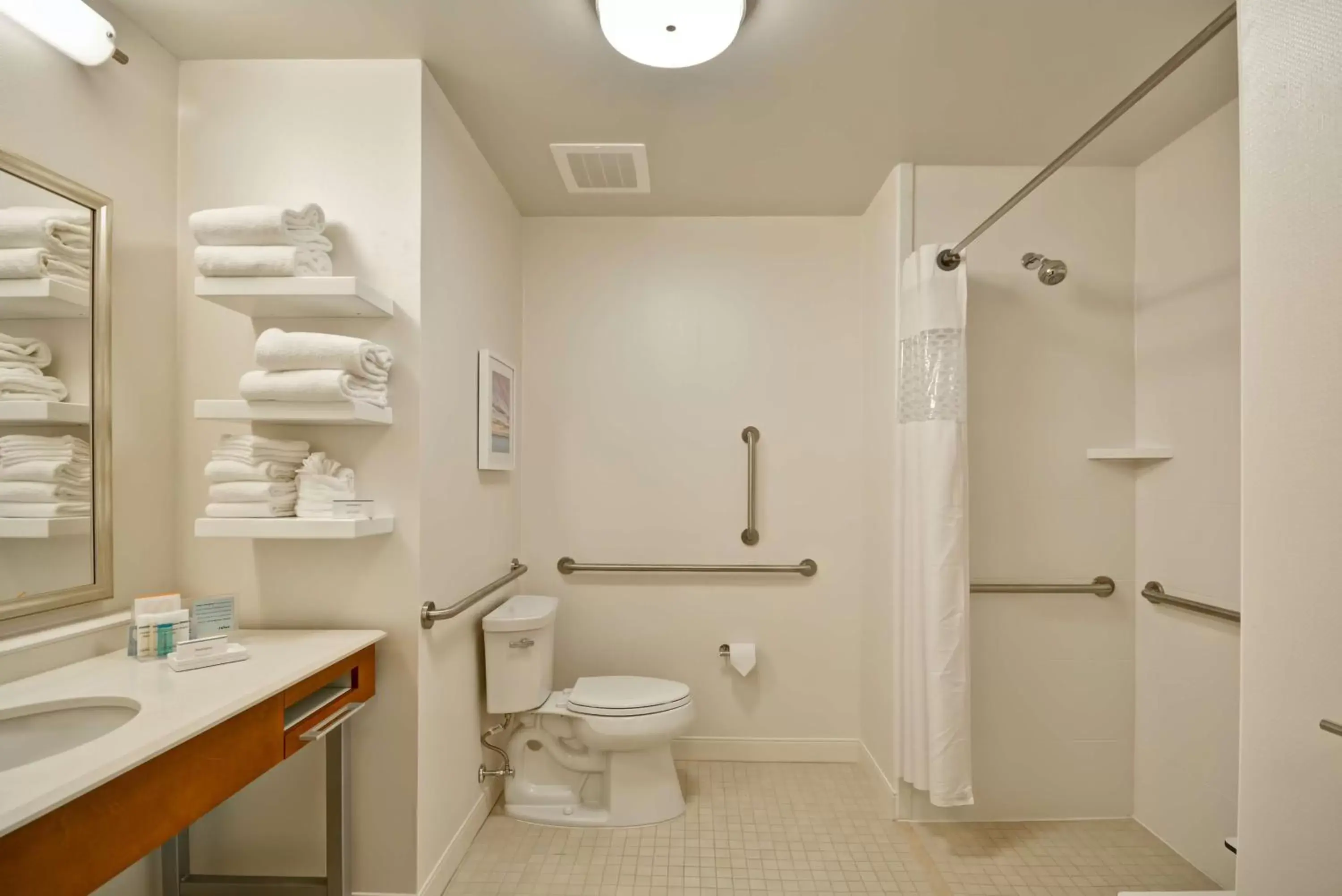 Bathroom in Hampton Inn & Suites Charleston Airport