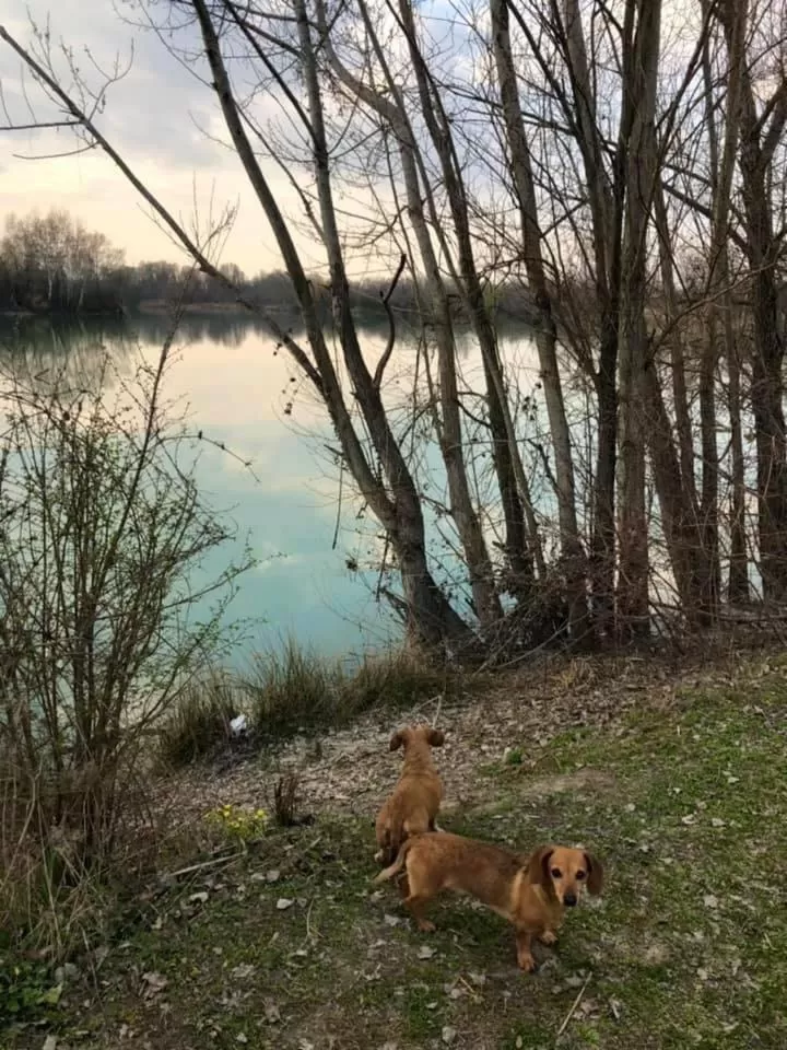 Fishing, Other Animals in La Casa di Valeria - Modena
