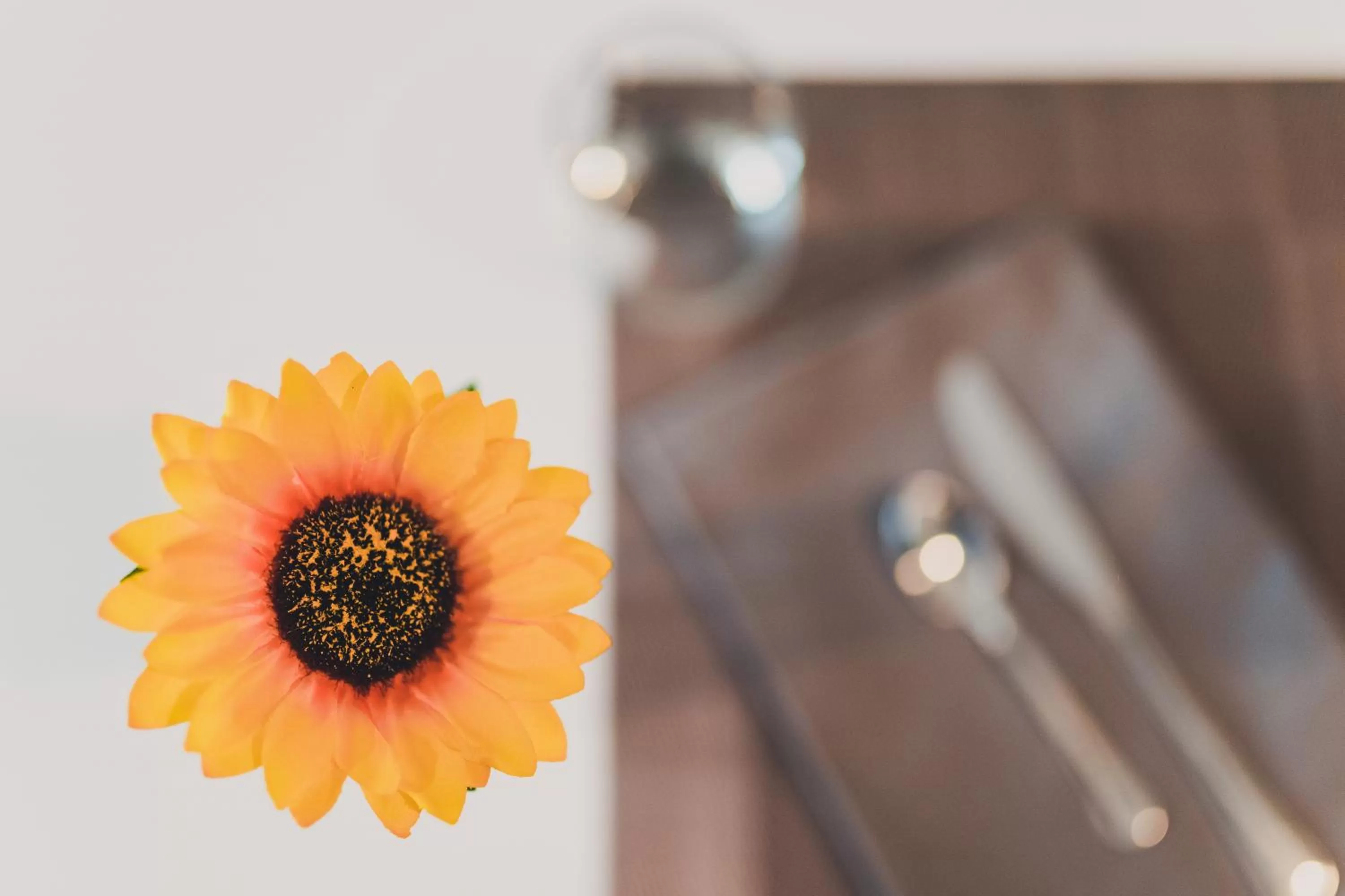 Communal lounge/ TV room in Trip Room & Breakfast