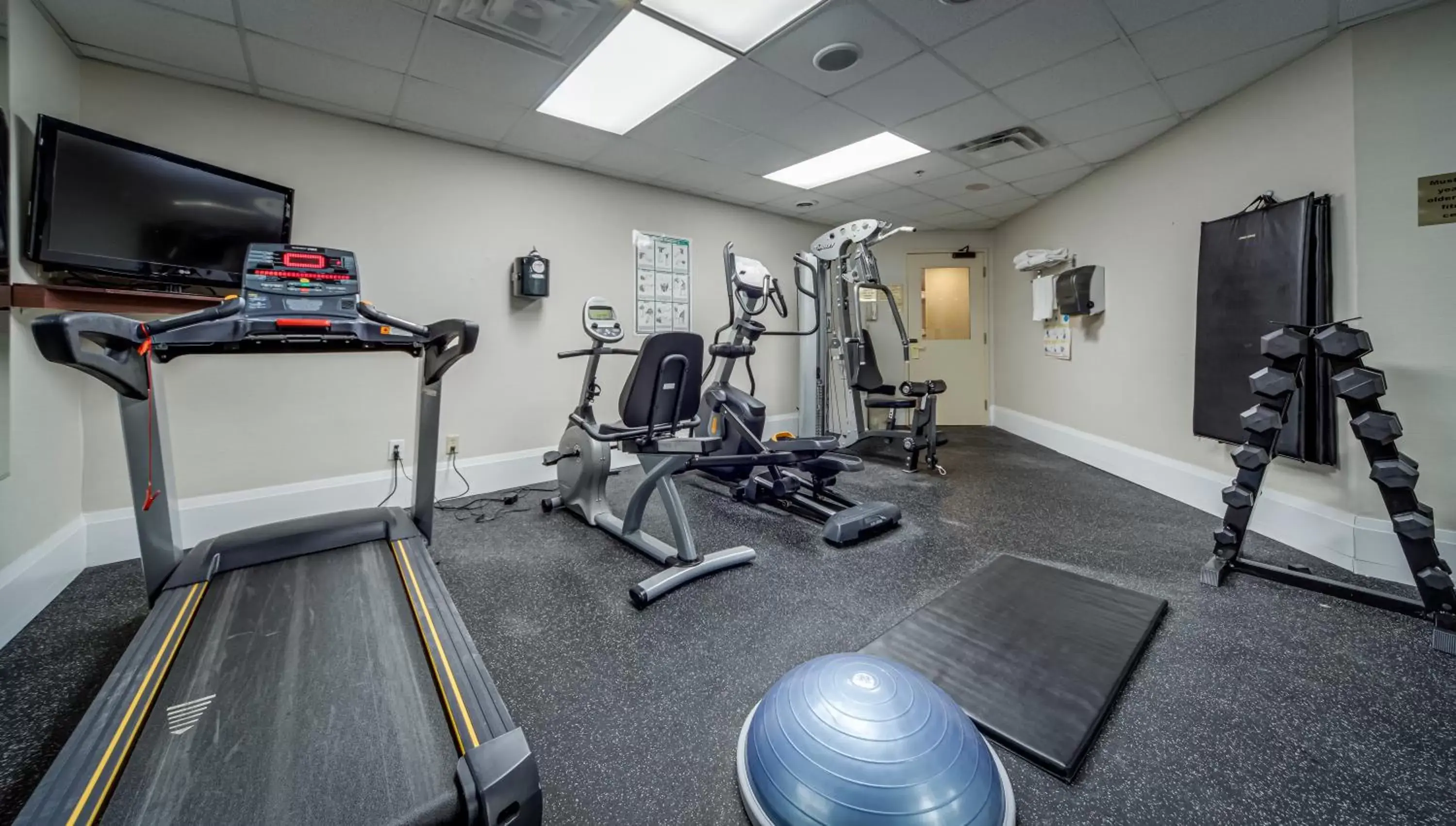 Fitness centre/facilities, Fitness Center/Facilities in Monte Carlo Inn Vaughan Suites