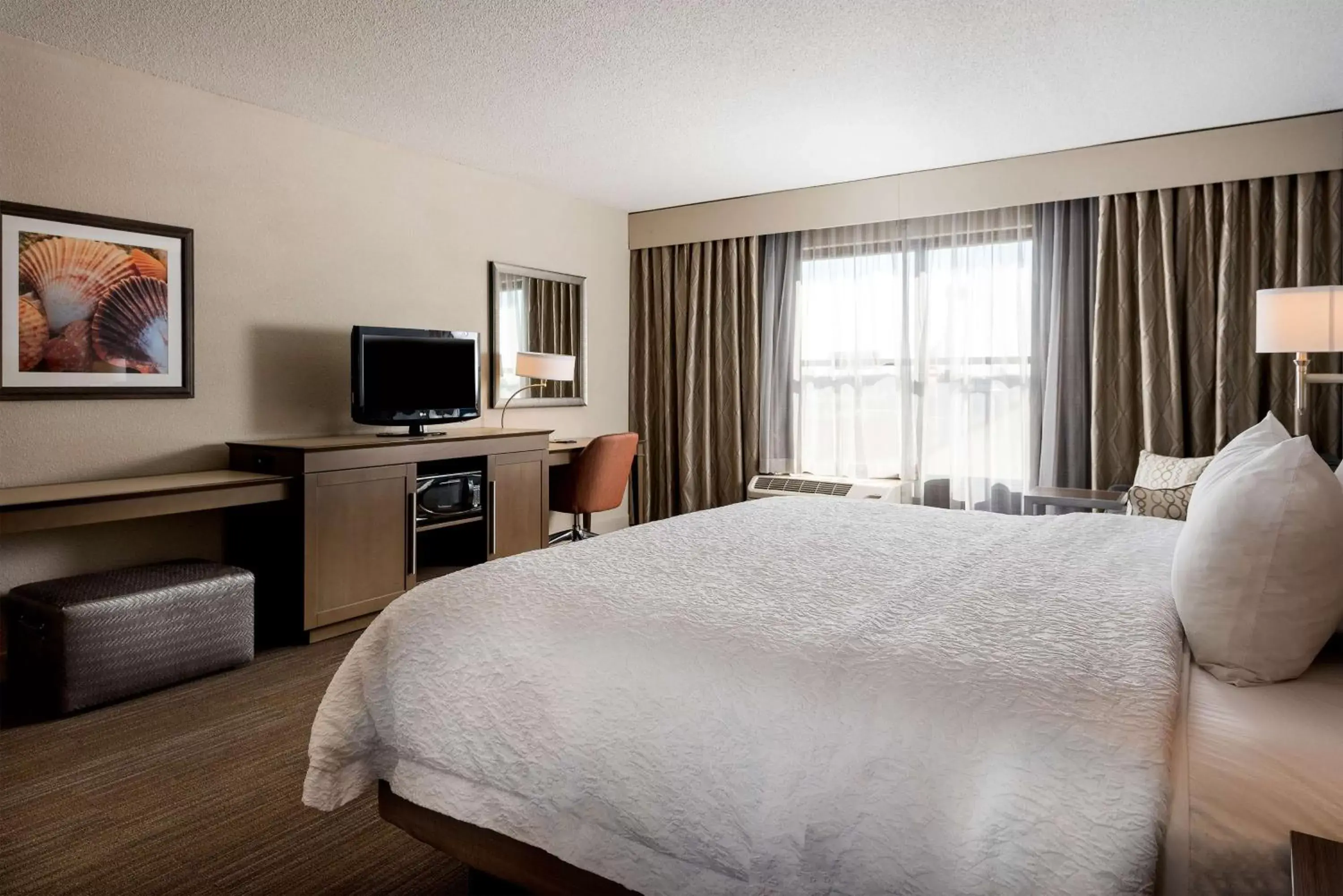 Bed, TV/Entertainment Center in Hampton Inn Myrtle Beach West