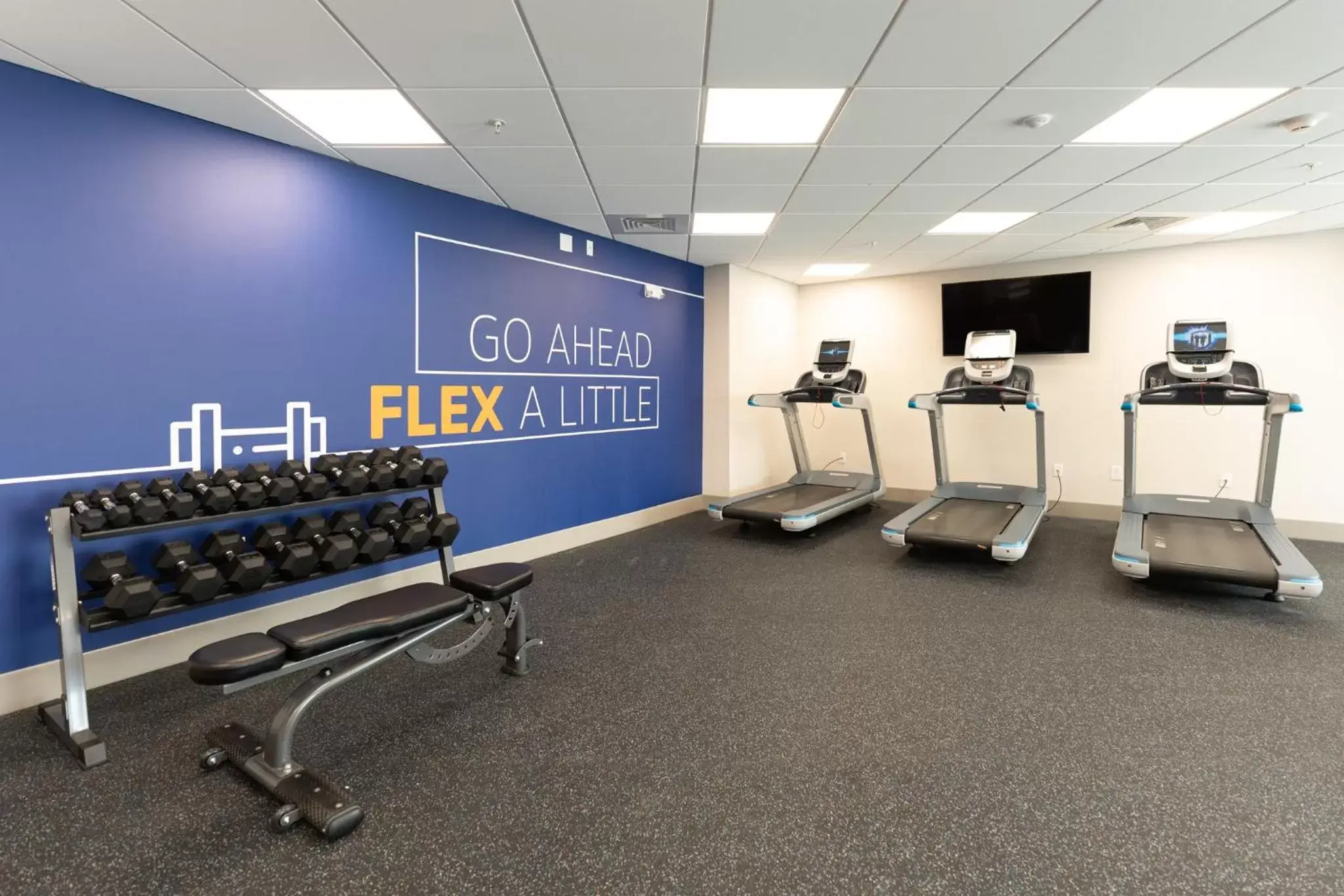 Fitness centre/facilities, Fitness Center/Facilities in Holiday Inn Express & Suites Charlottesville, an IHG Hotel