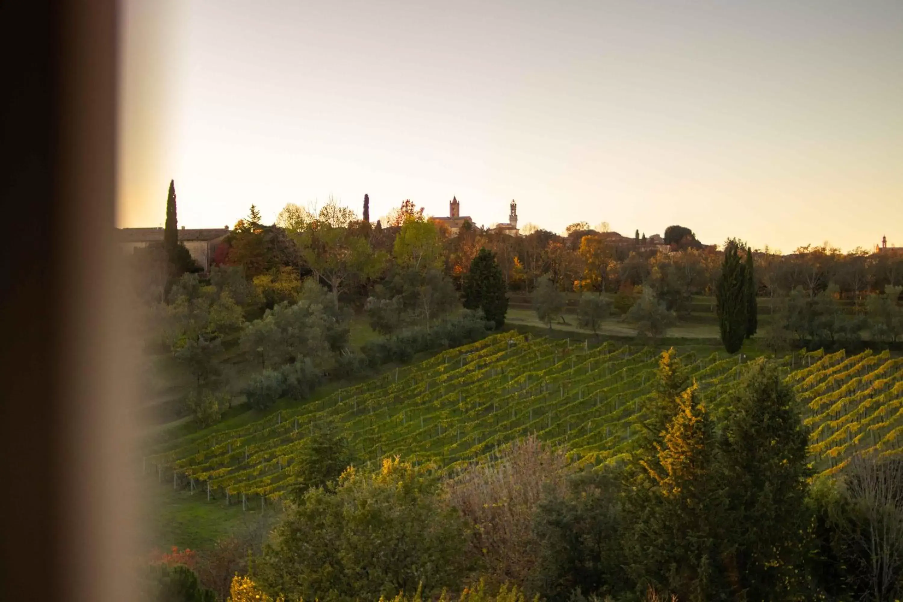 View (from property/room) in Hotel Certosa Di Maggiano