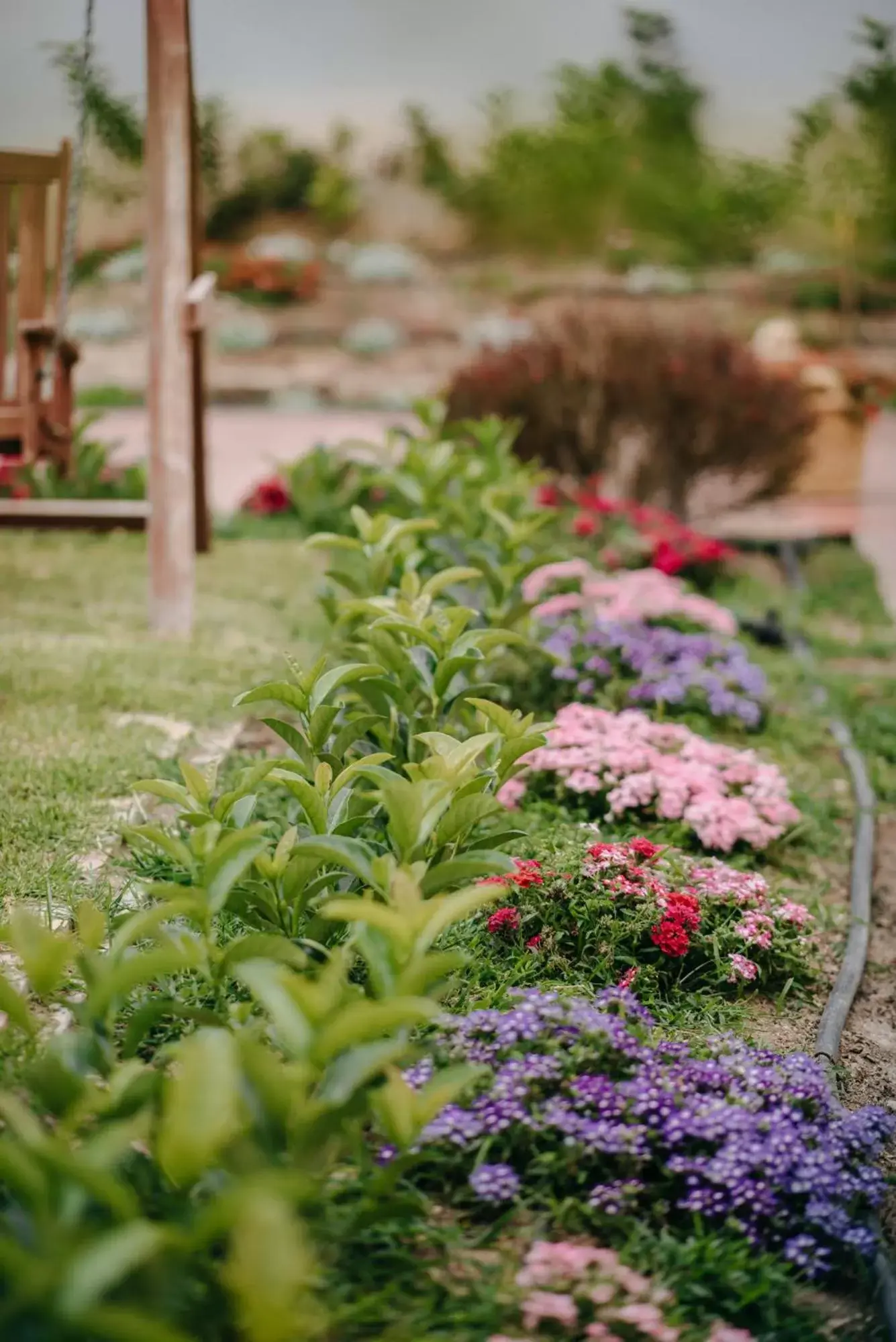 Garden in Corinthian Village