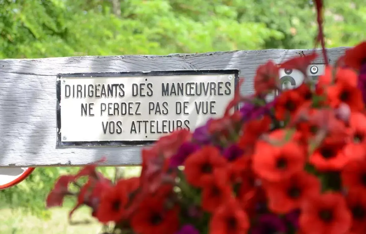 Decorative detail, Logo/Certificate/Sign/Award in Avenue de la Gare