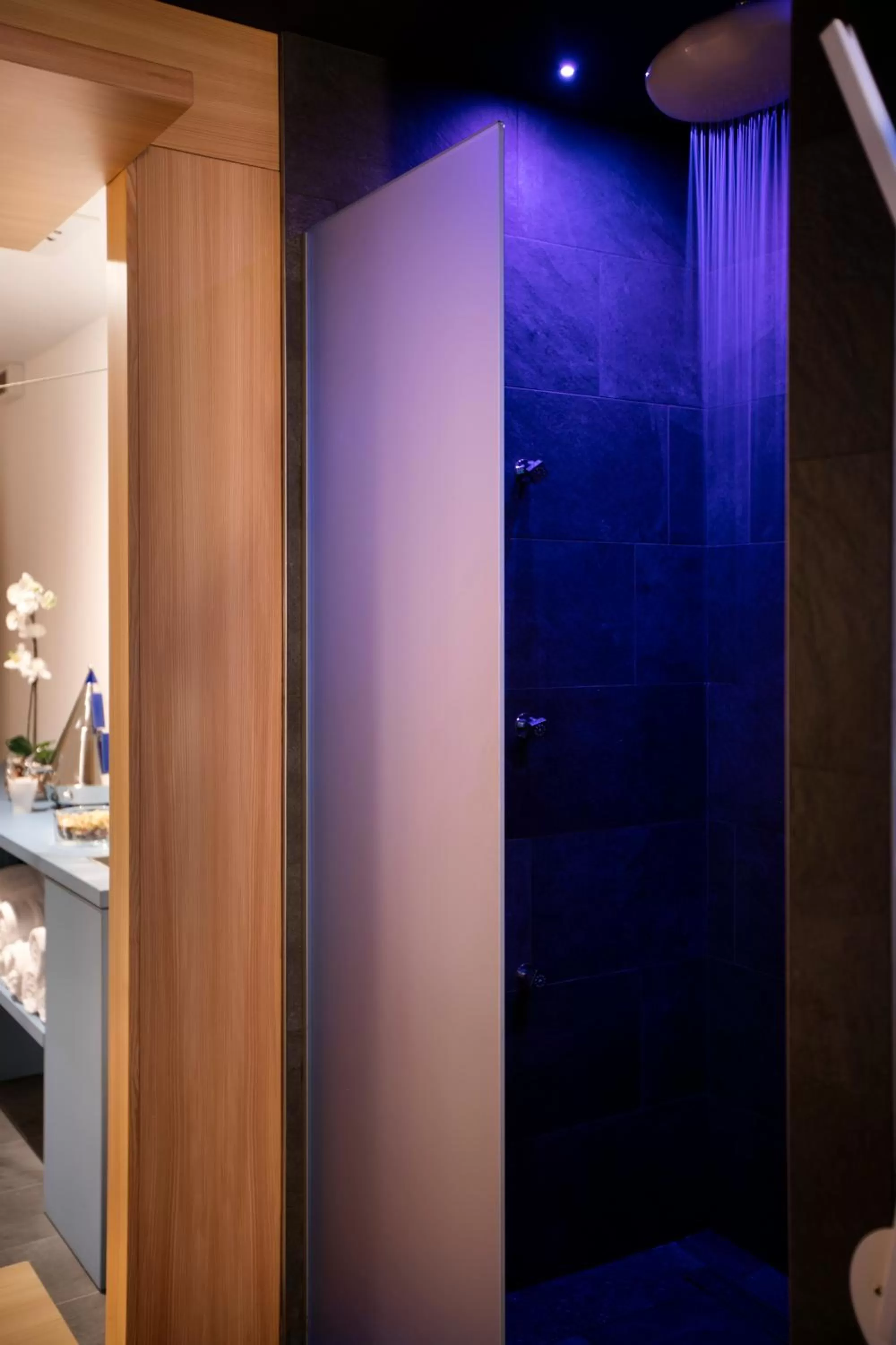 Sauna in Hotel Tremoggia