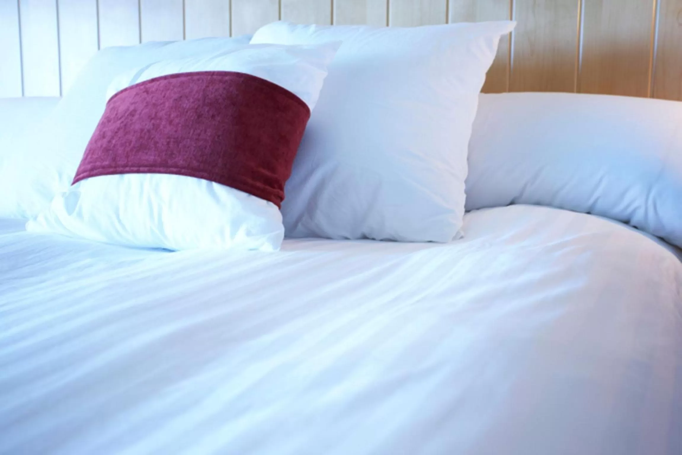 Decorative detail, Bed in Hillscourt