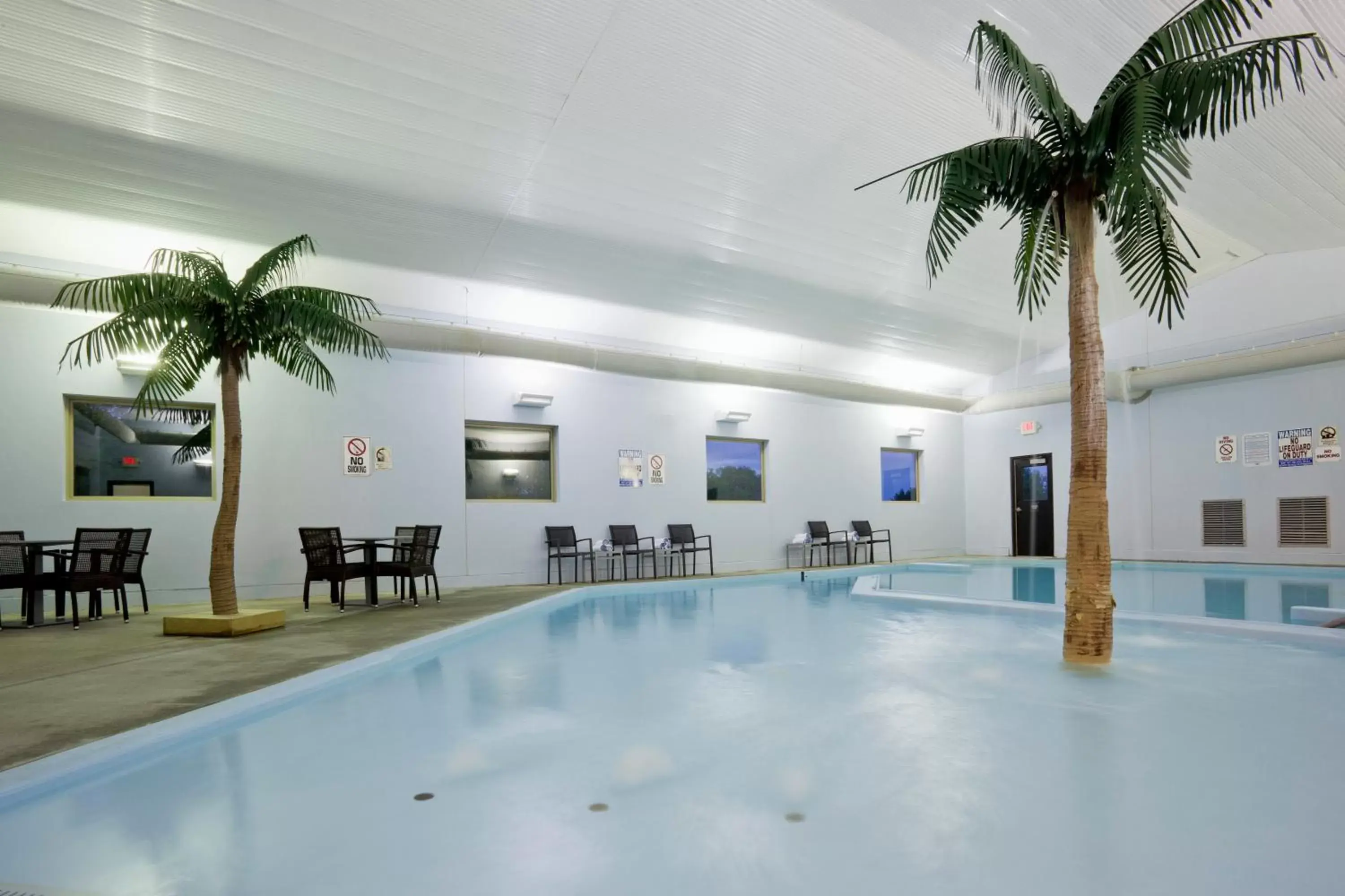 Swimming Pool in Carrollton Hotel